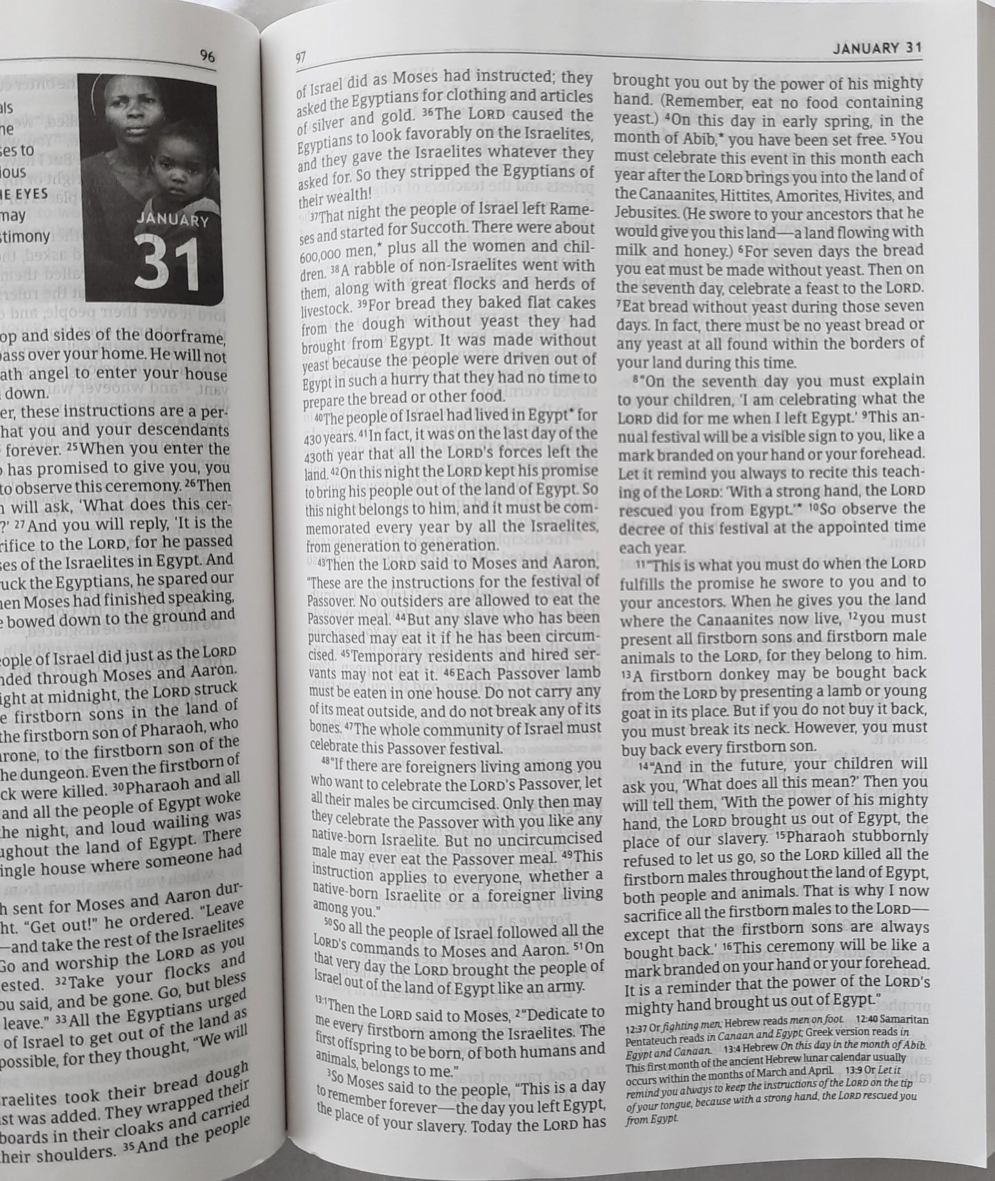 NLT The One Year Pray for the Persecuted Bible (New w/damage, 2021, PBK, 1184 pages, Tyndale House)