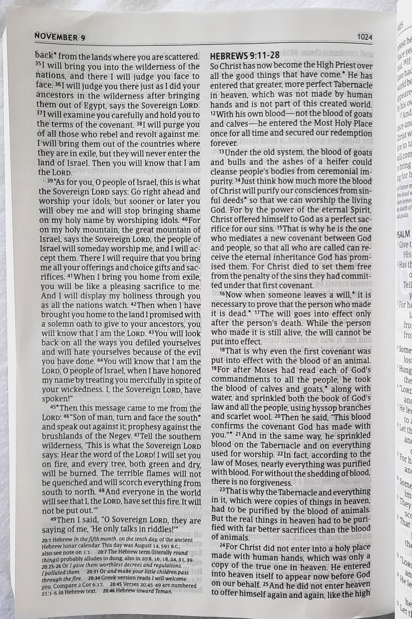 NLT The One Year Pray for the Persecuted Bible (New w/damage, 2021, PBK, 1184 pages, Tyndale House)
