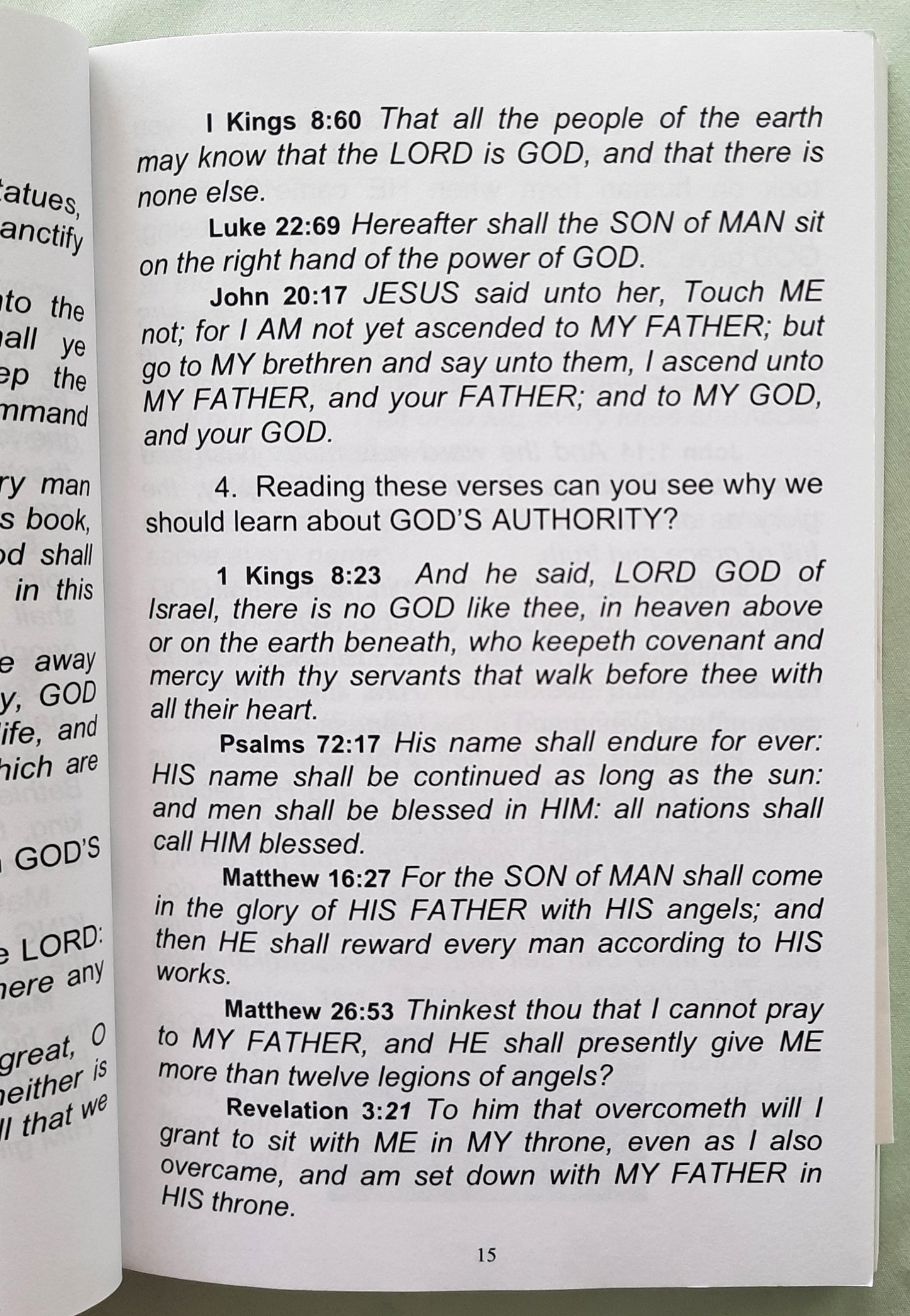 Dear Dillon, The Seven Basic Truths of GOD by Flo S. Oler (Very good, 2007, PBk, 268 pages, Faith Baptist Church Publications) RARE FIND