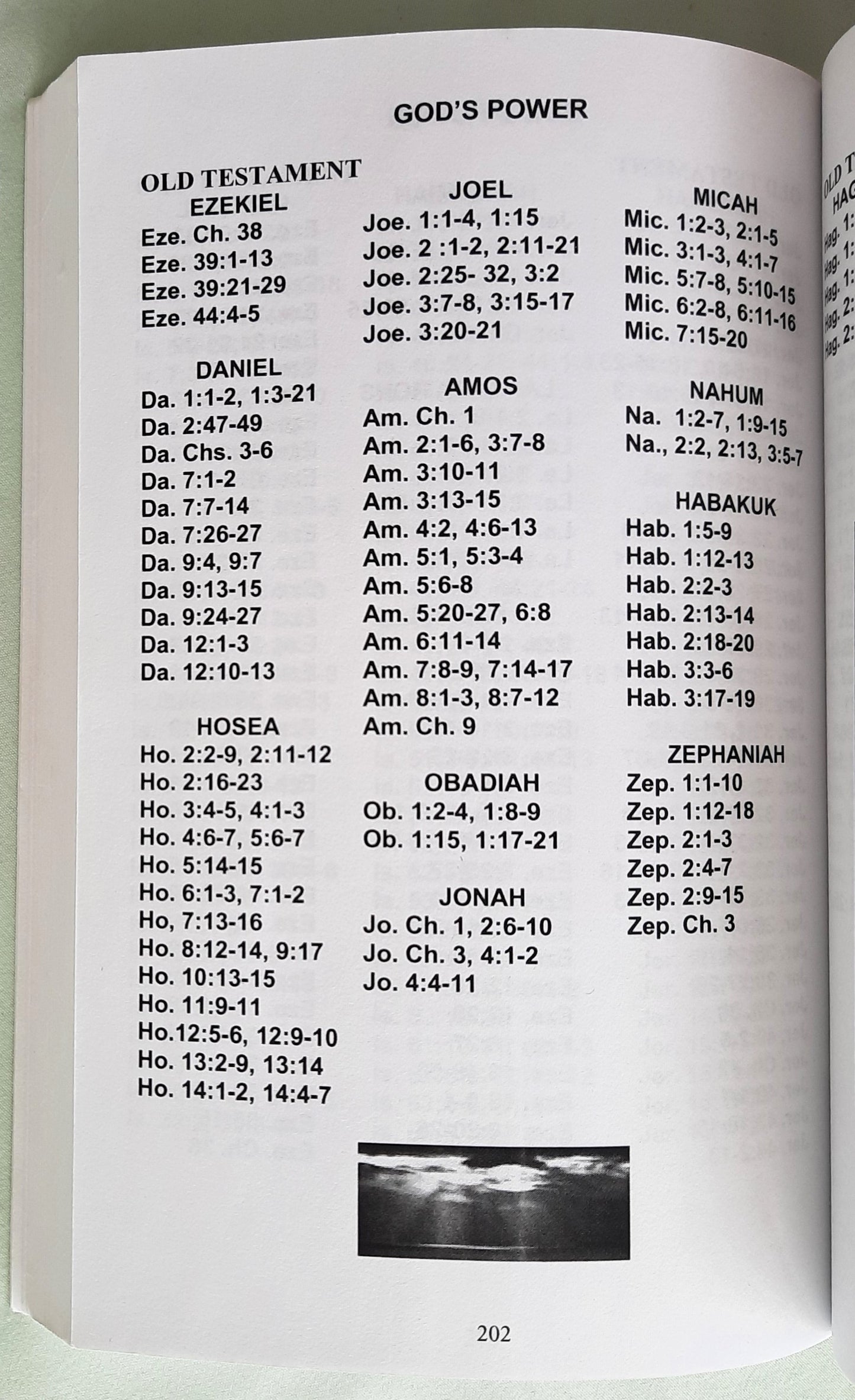 Dear Dillon, The Seven Basic Truths of GOD by Flo S. Oler (Very good, 2007, PBk, 268 pages, Faith Baptist Church Publications) RARE FIND