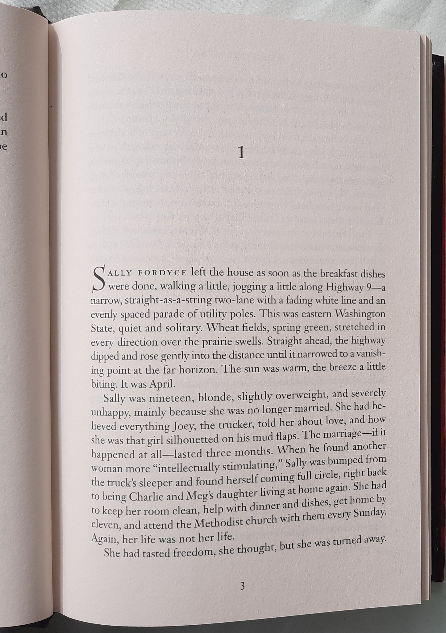 The Visitation by Frank Peretti (Very good, 1999, HC, 519 pages, Word Publishing)