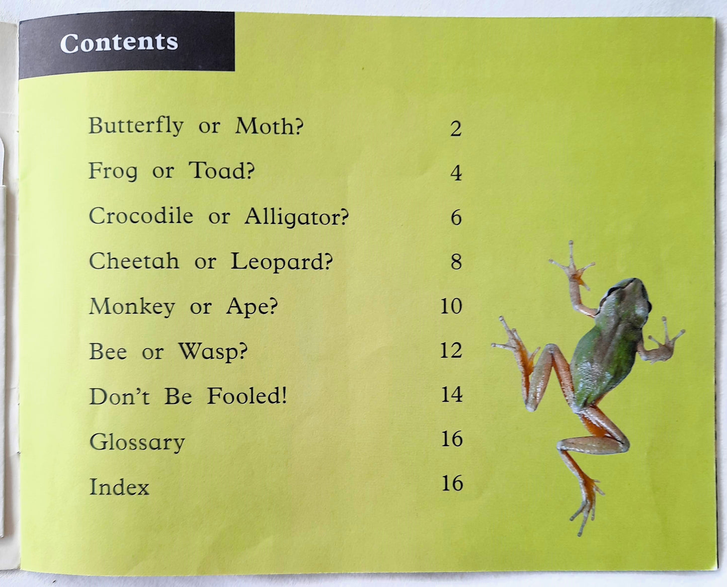 What's the Difference by Vanessa Rhodes (Very good, 2007, Pbk, 16 pages, Scholastic)