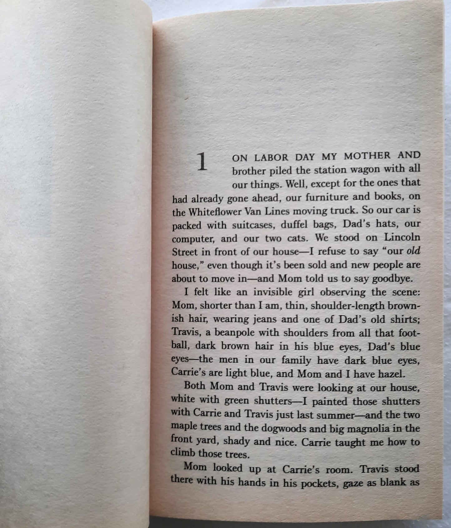 The Geometry of Sisters by Luanne Rice (Very good, 2009, Pbk, 382 pages, Bantam Books)