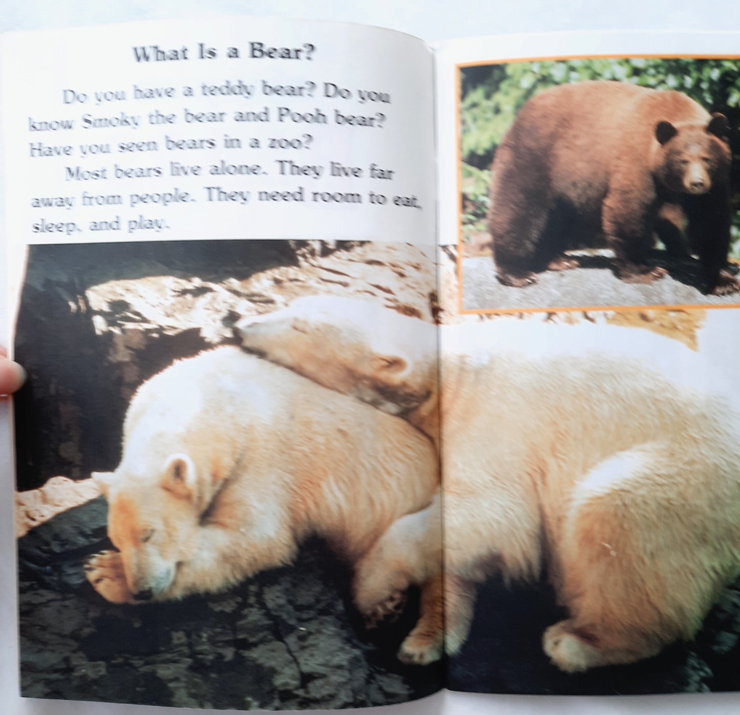 Bears by Deborah Richie (A Smart Start Reader, Very Good, 1996, Pbk, Scholastic)