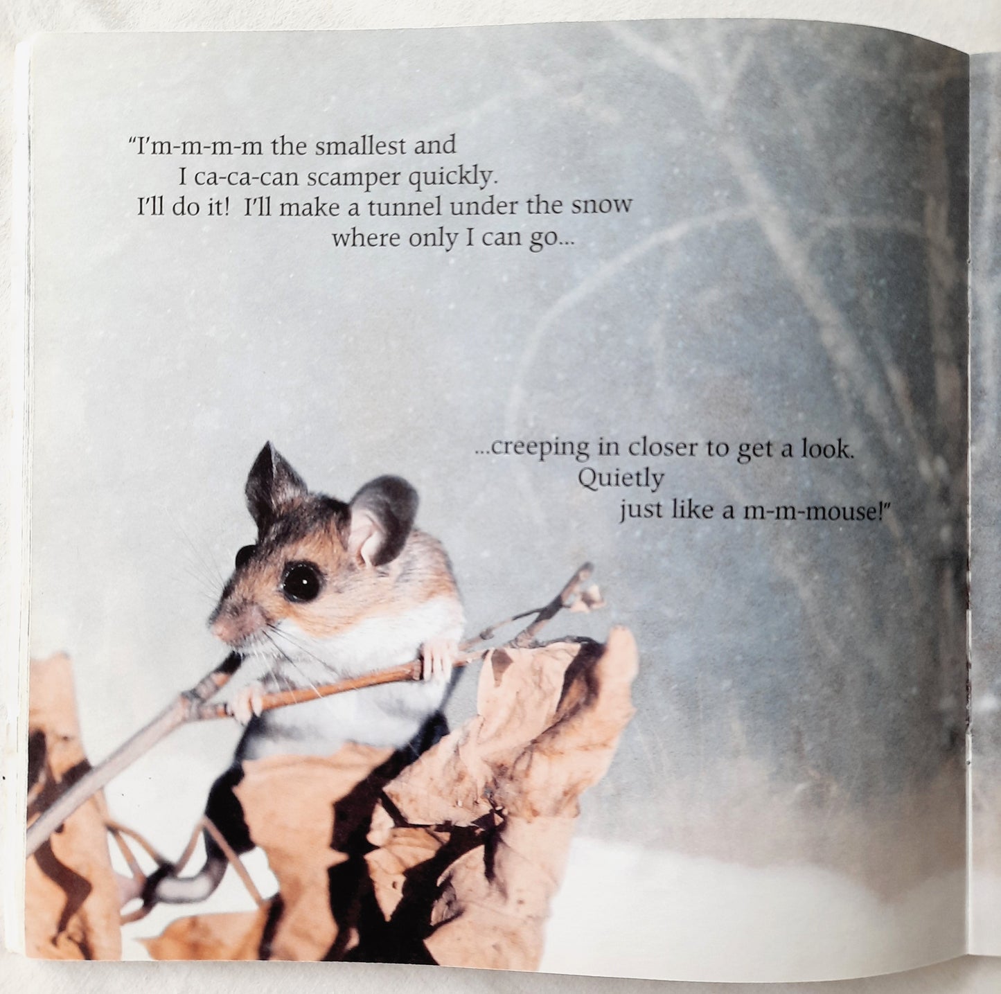 Stranger in the Woods by Carl R. Sams II; Jean Stoick (Very Good, 2014, Pbk, 66 pages, Scholastic)