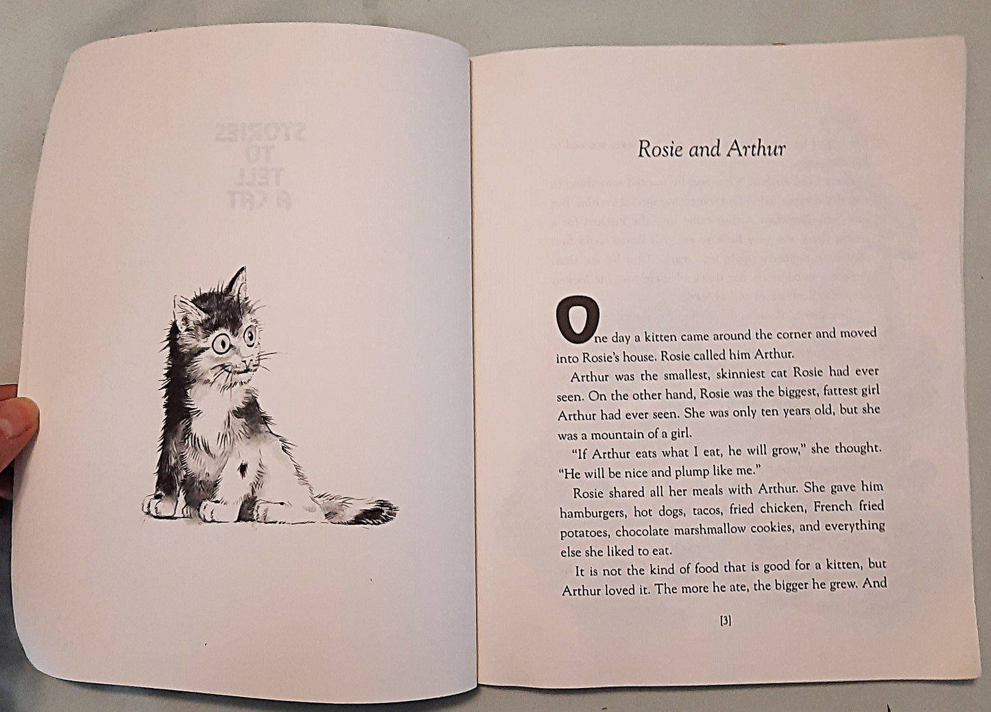 Stories to Tell a Cat by Alvin Schwartz; Catherine Huerta (Good, 1992, Pbk, 72 pages, Trumpet Club)