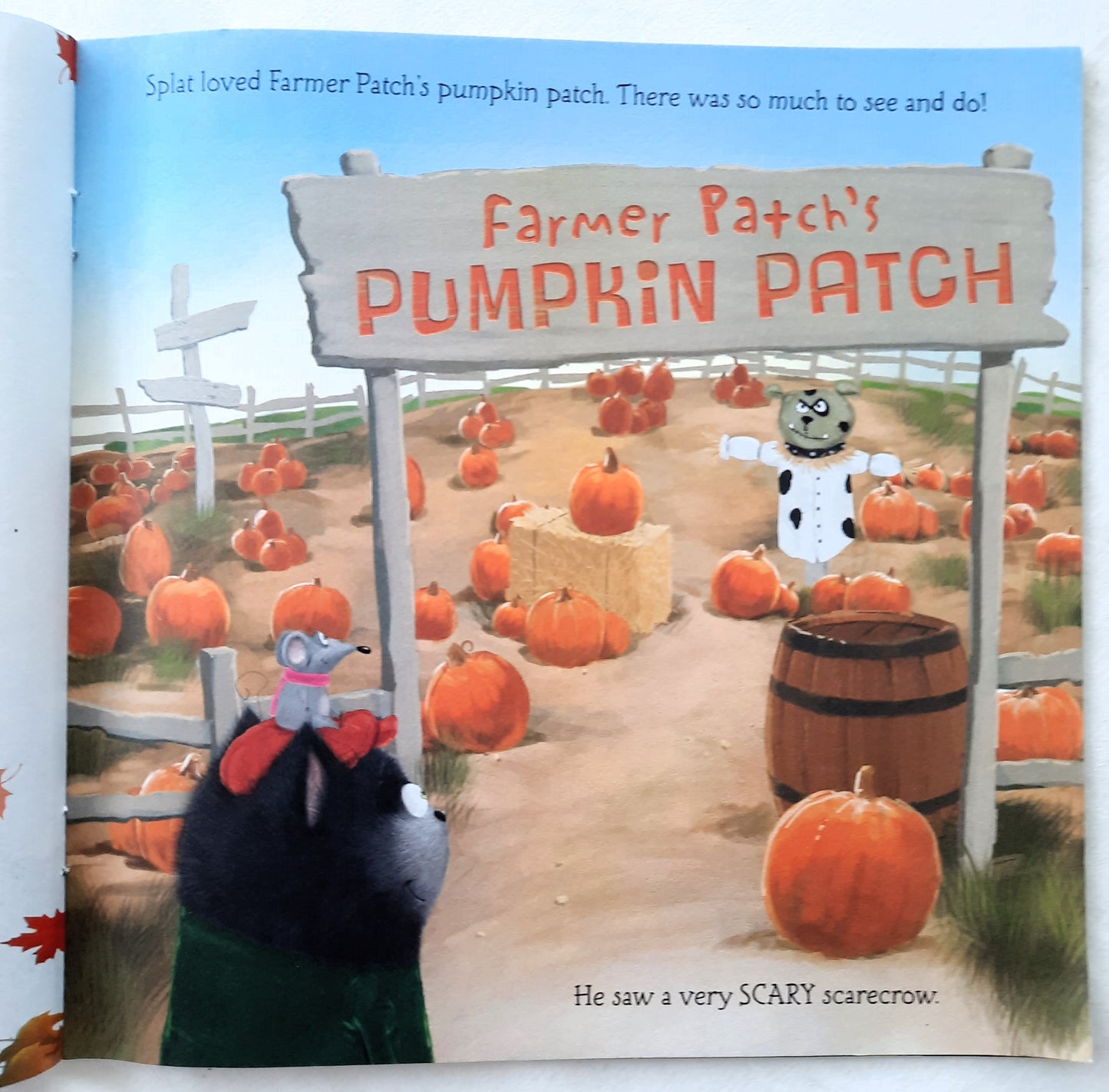Splat the Cat and the Pumpkin-Picking Plan by Rob Scotton (Very good, 2017, Pbk, 32 pages, Scholastic)