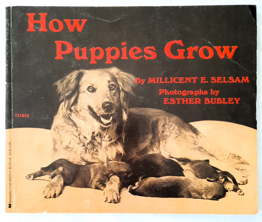 How Puppies Grow by Millicent Selsam; Esther Bubley (Good, 1971, Pbk, 40 pages, Scholastic)
