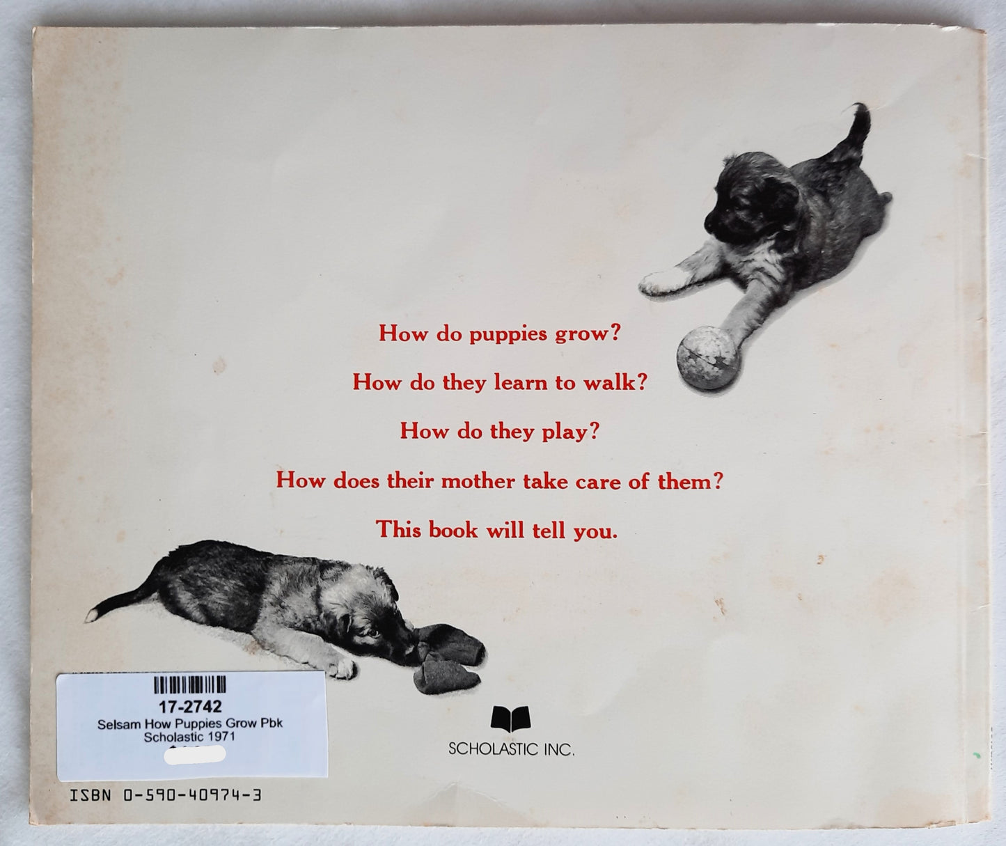 How Puppies Grow by Millicent Selsam; Esther Bubley (Good, 1971, Pbk, 40 pages, Scholastic)