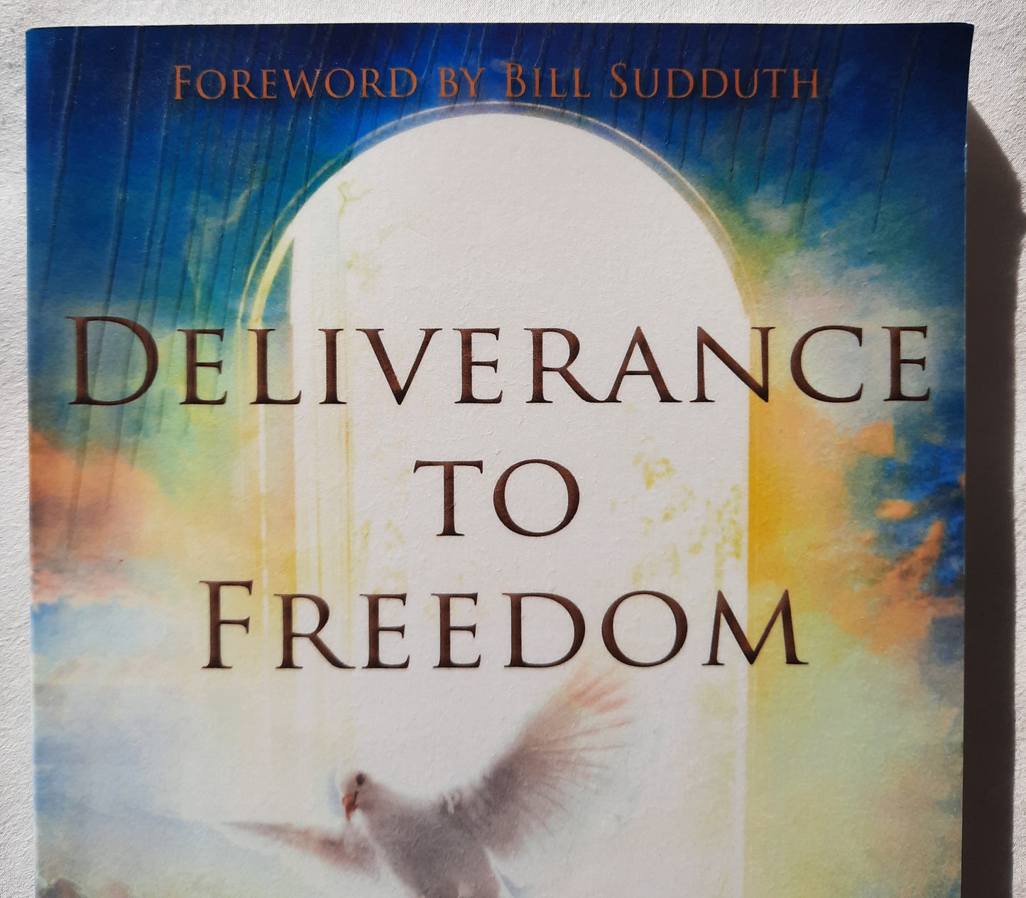 Deliverance to Freedom: A Guide for Releasing Captives by Regina Shank (Very Good, 2017, PBk, 141 pages, Missouri Prayer Global Ministries)
