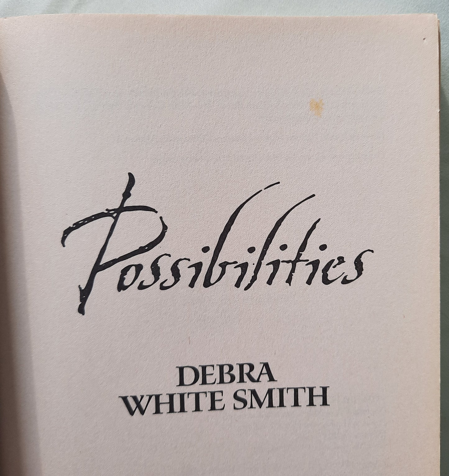 Possibilities by Debra White Smith (Austen series #6, Good, 2006, Pbk, 311 pages, Harvest House)