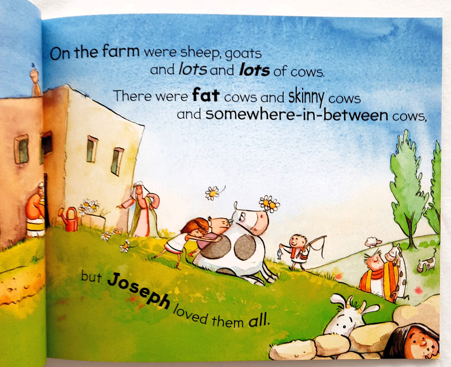 Joseph and the Rainbow Robe by Fiona Veitch Smith (New, 2016, PBK, 32 pages, SPCK)