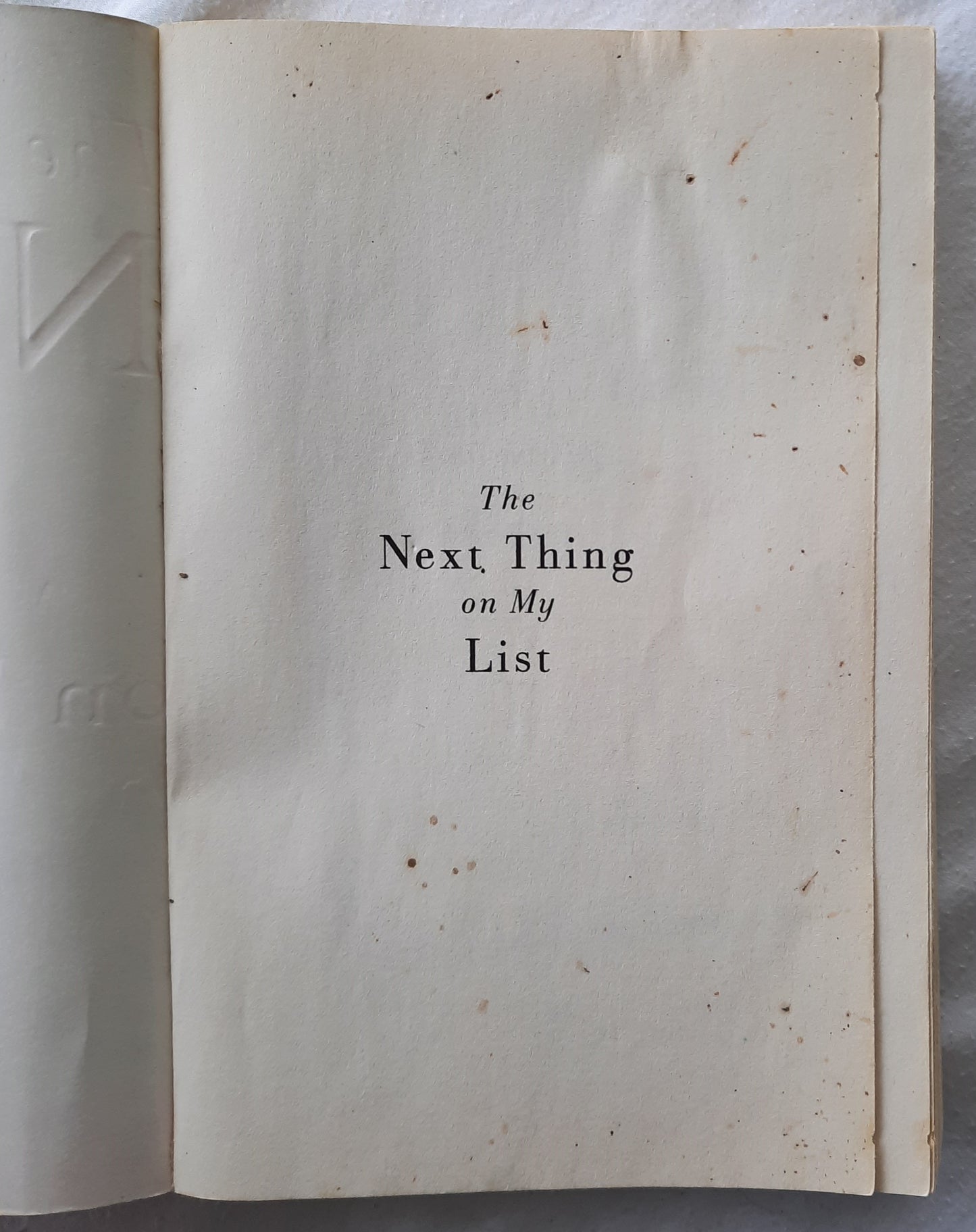 The Next Thing on My List by Jill Smolinski (Good, 2007, Pbk, 295 pages, Three Rivers Press)
