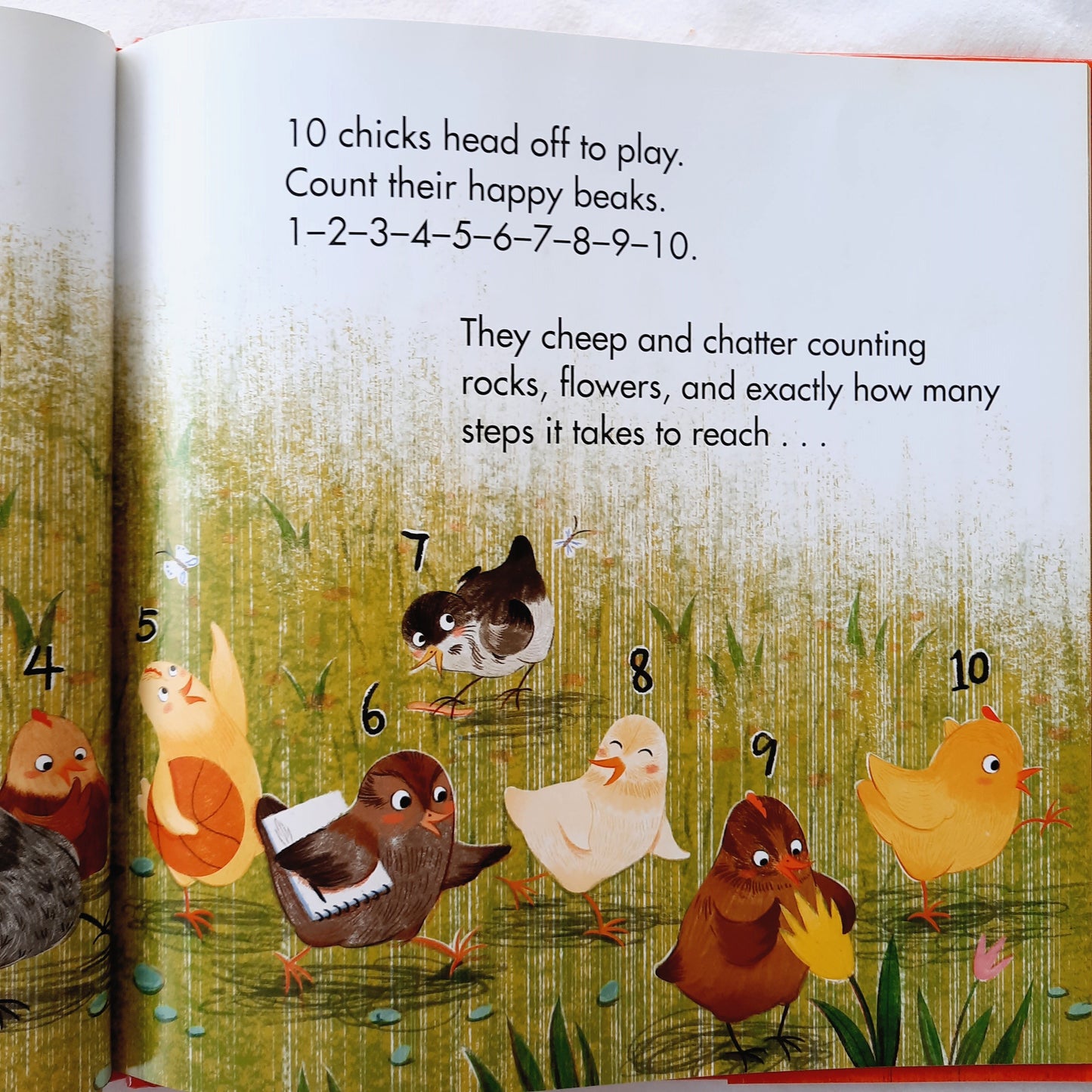Arithmechicks Add Up by Ann Marie Stephens (New, 2019, HC, 32 pages, Boyds Mills Press)