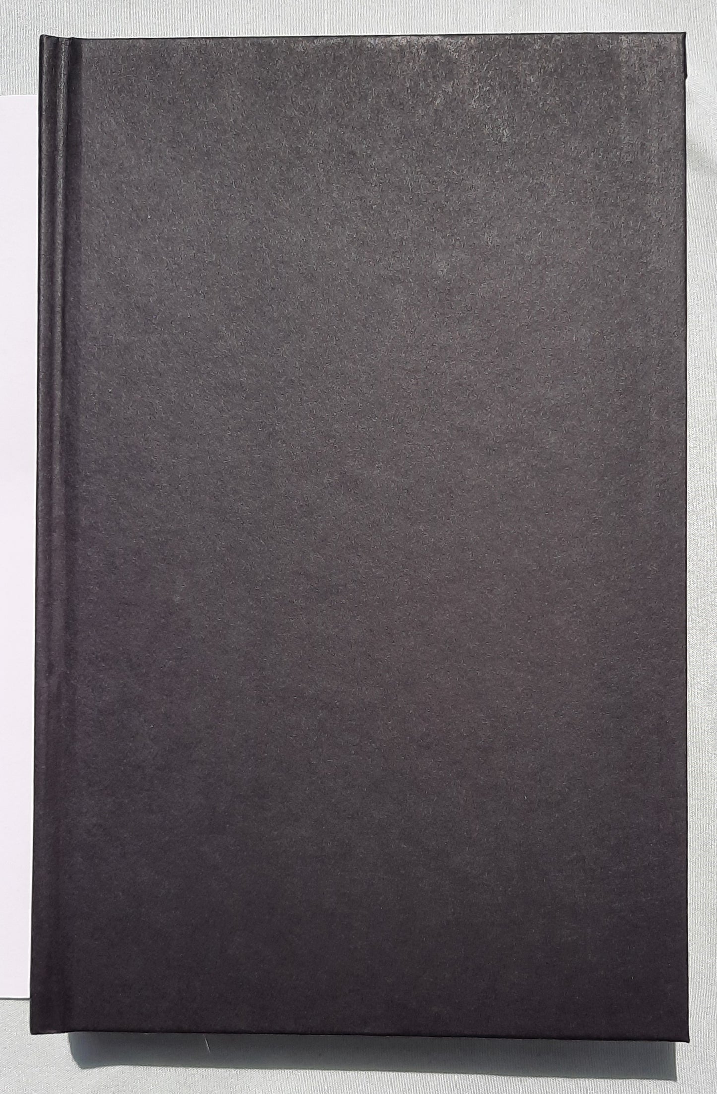 We Were Kings by Court Stevens (New, 2022, HC, 391 pages, Thomas Nelson)