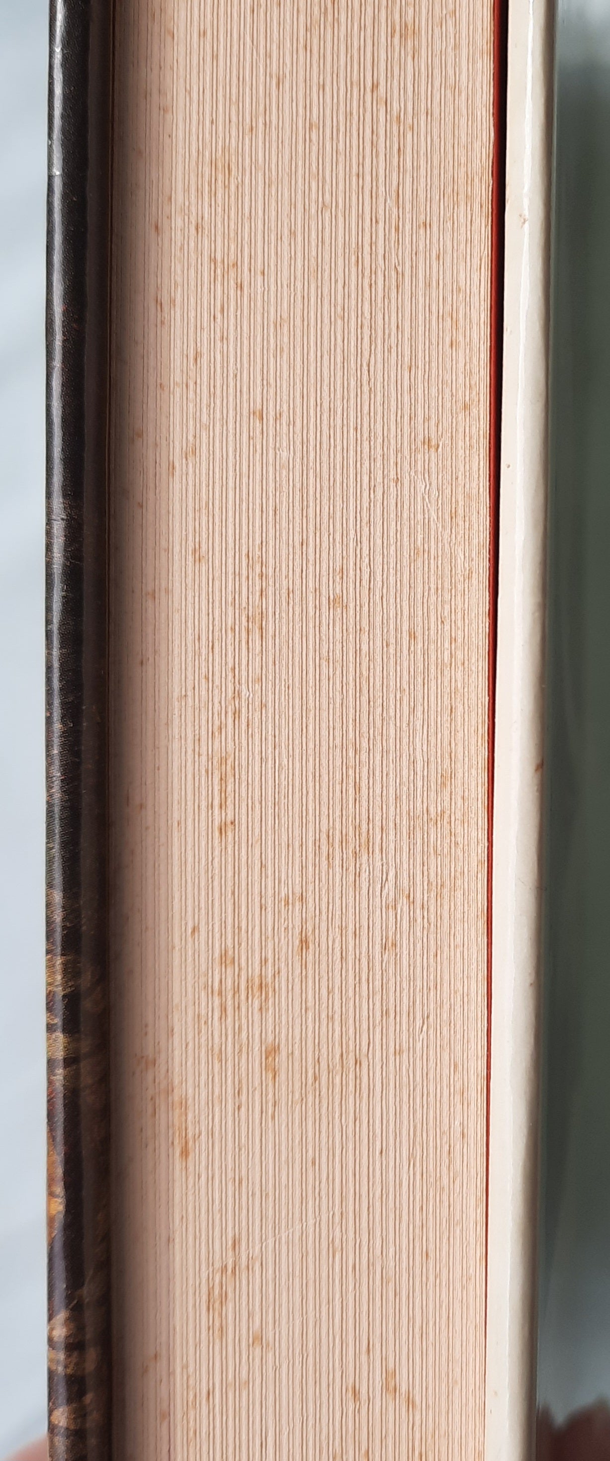 Touch Not the Cat by Mary Stewart (Very good, 1976, HC, 336 pages, William Morrow & Co.)
