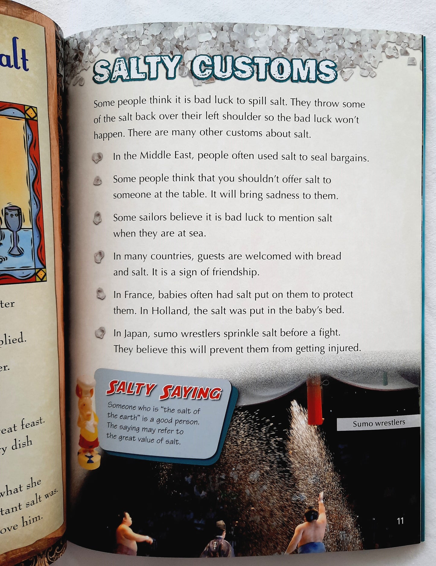 The Rock We Eat: Salt by Laura Strom (Like New, 2007, Pbk, 36 pages, Scholastic)