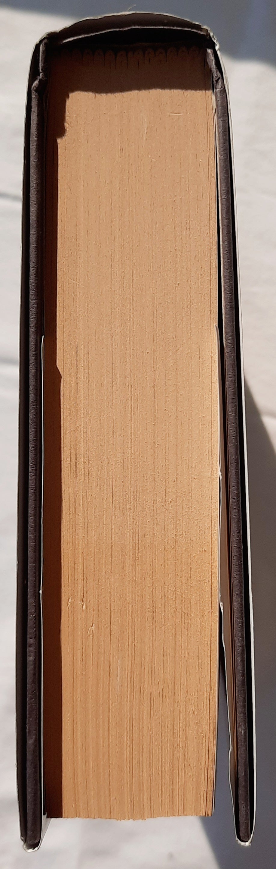 The Bartimaeus Trilogy #1: The Amulet of Samarkand by Jonathan Stroud (Very good, 2003, HC, 462 pages, Miramax Books)