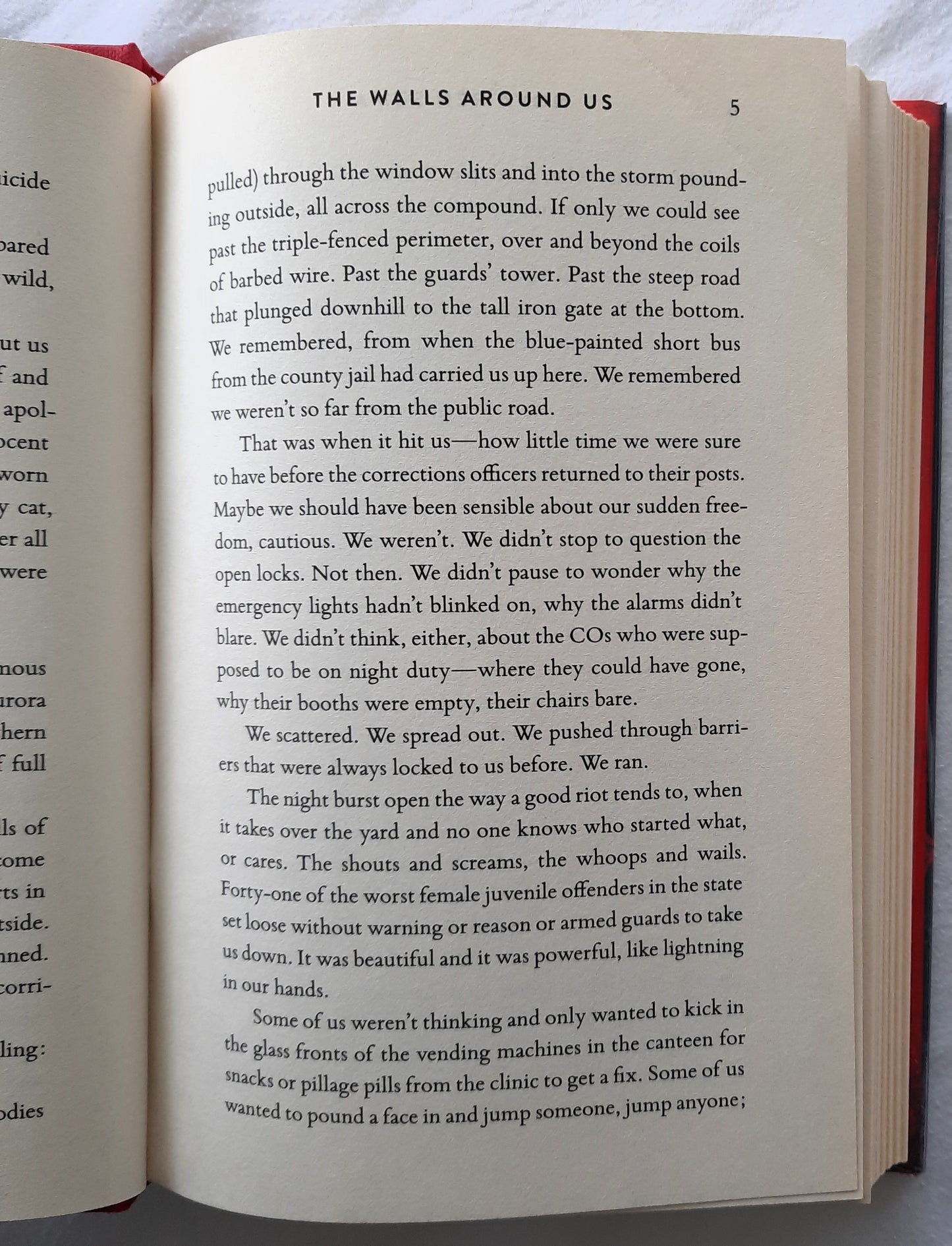 The Walls Around Us by Nova Ren Suma (Very good, 2015, HC, 323 pages, Algonquin Young Readers)
