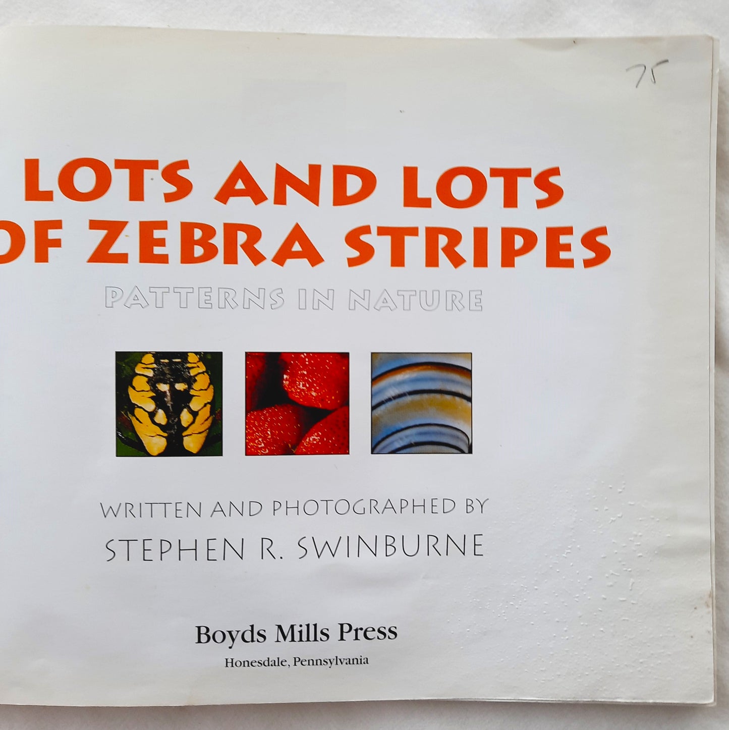 Lots and Lots of Zebra Stripes: Patterns in Nature by Stephen R. Swinburne (Good, 1998, Pbk, 32 pages, Boyds Mills Press)