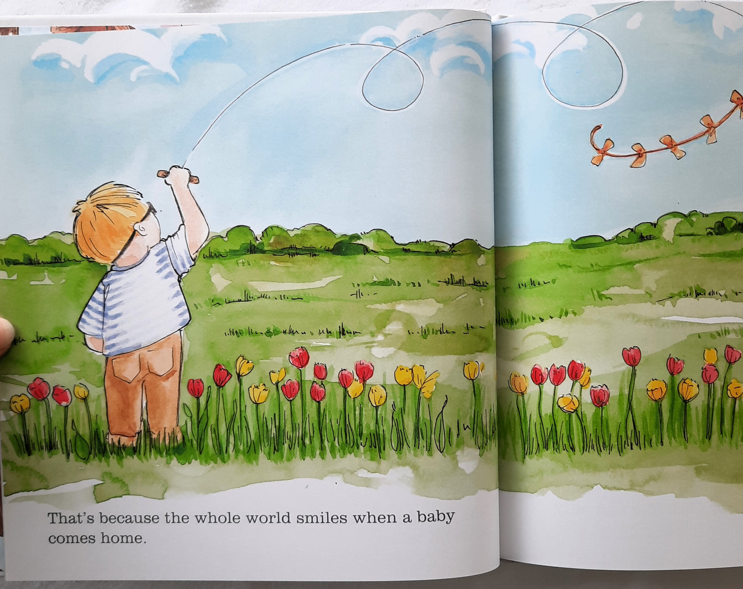 Reagandoodle and Little Buddy Welcome Baby by Sandi Swiridoff (New, 2019, HC, 48 pages, Harvest House)
