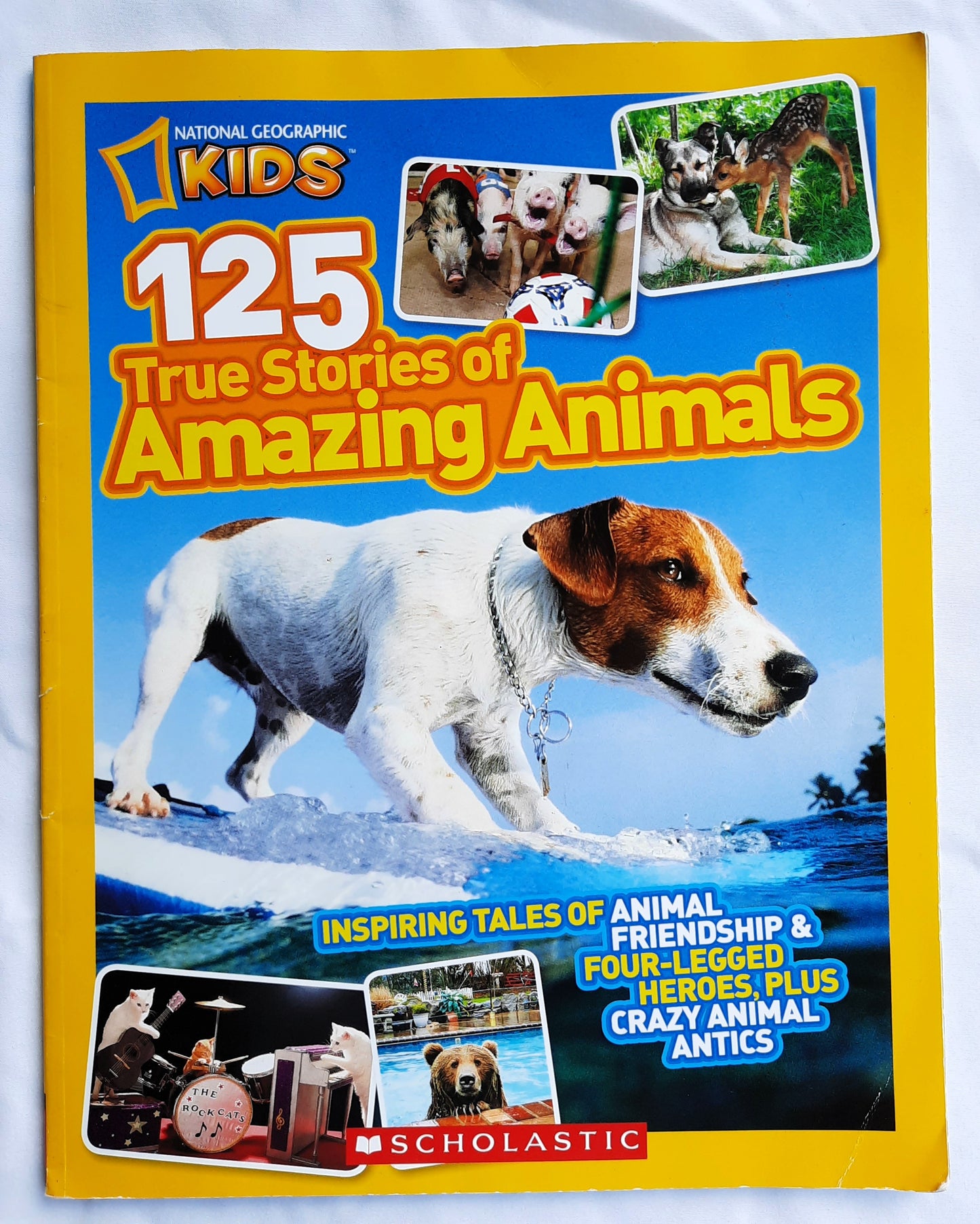 125 True Stories of Amazing Animals by Robin Terry (Good, 2012, Pbk, 112 pages, Scholastic)