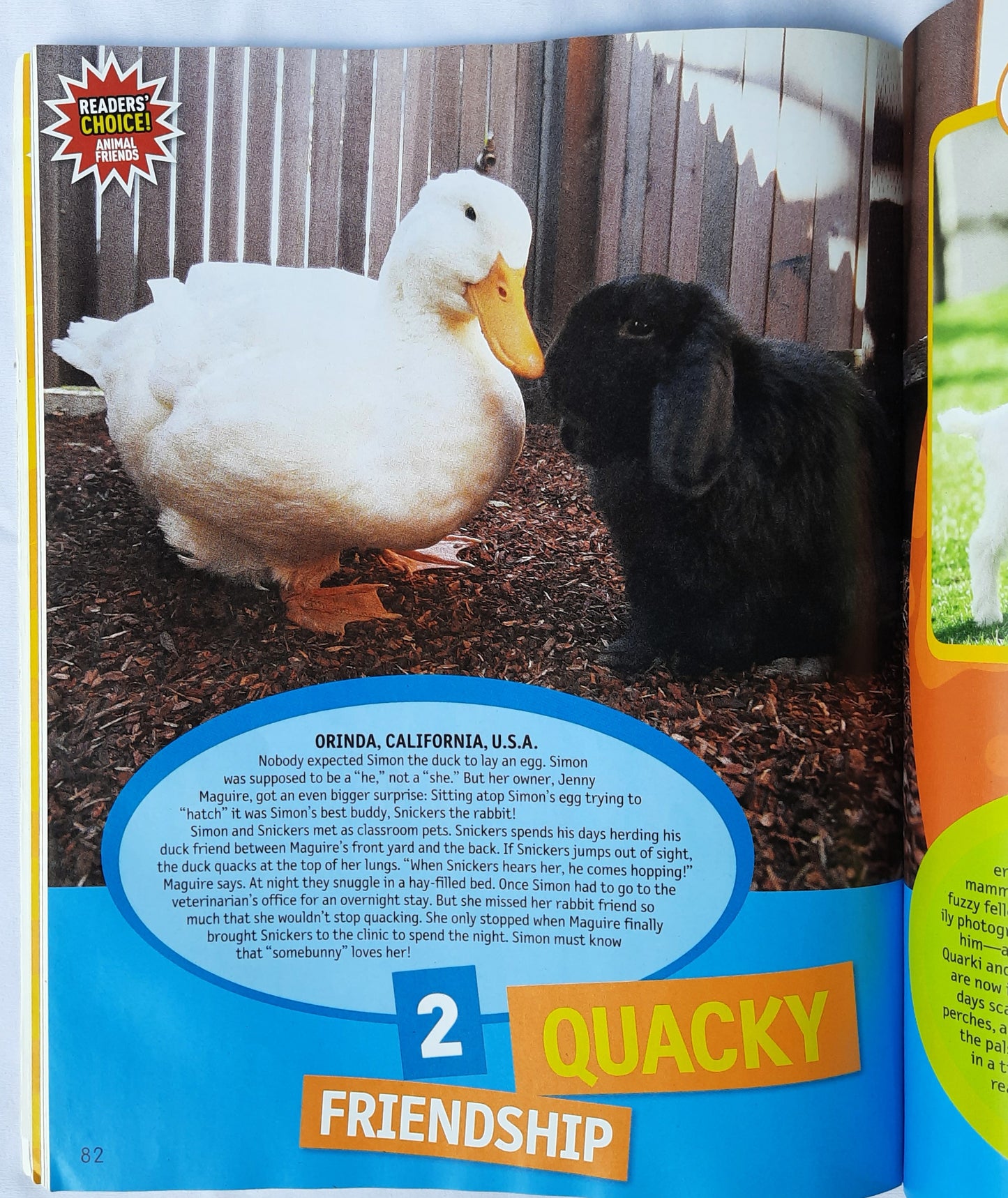 125 True Stories of Amazing Animals by Robin Terry (Good, 2012, Pbk, 112 pages, Scholastic)
