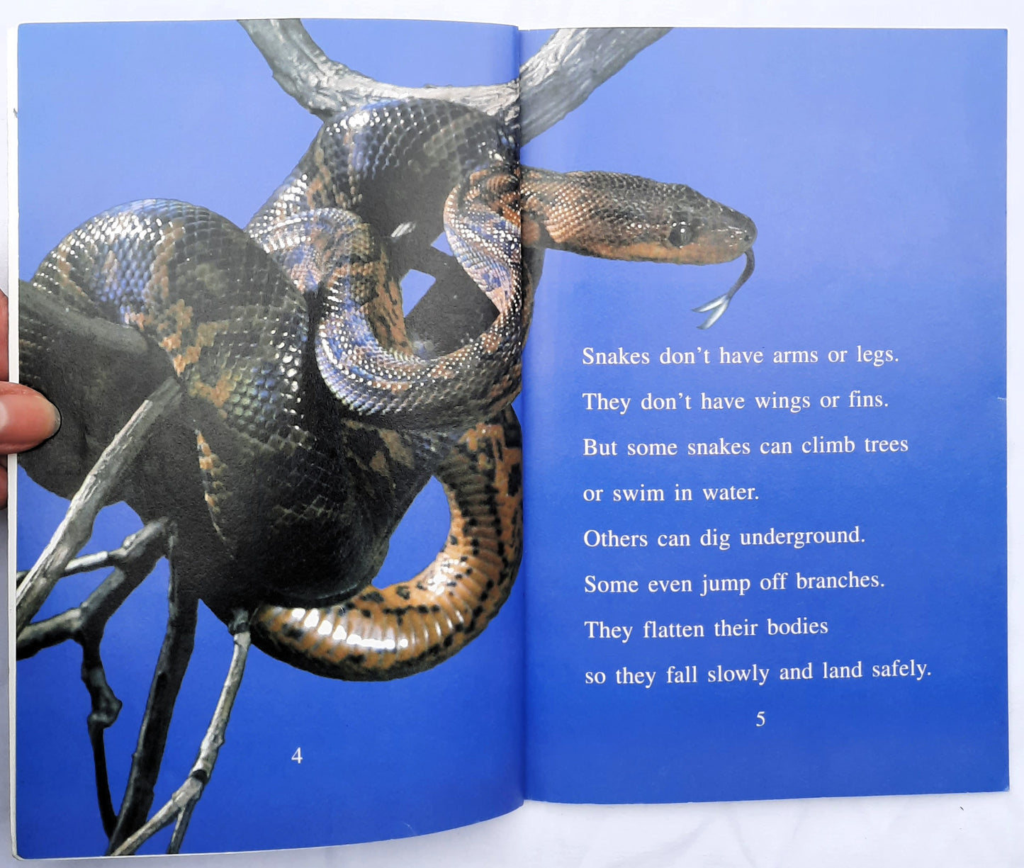 Wildlife Conservation Society: Amazing Snakes! by Sarah L. Thomson (Very good, 2007, Pbk, 32 pages, HarperCollins)