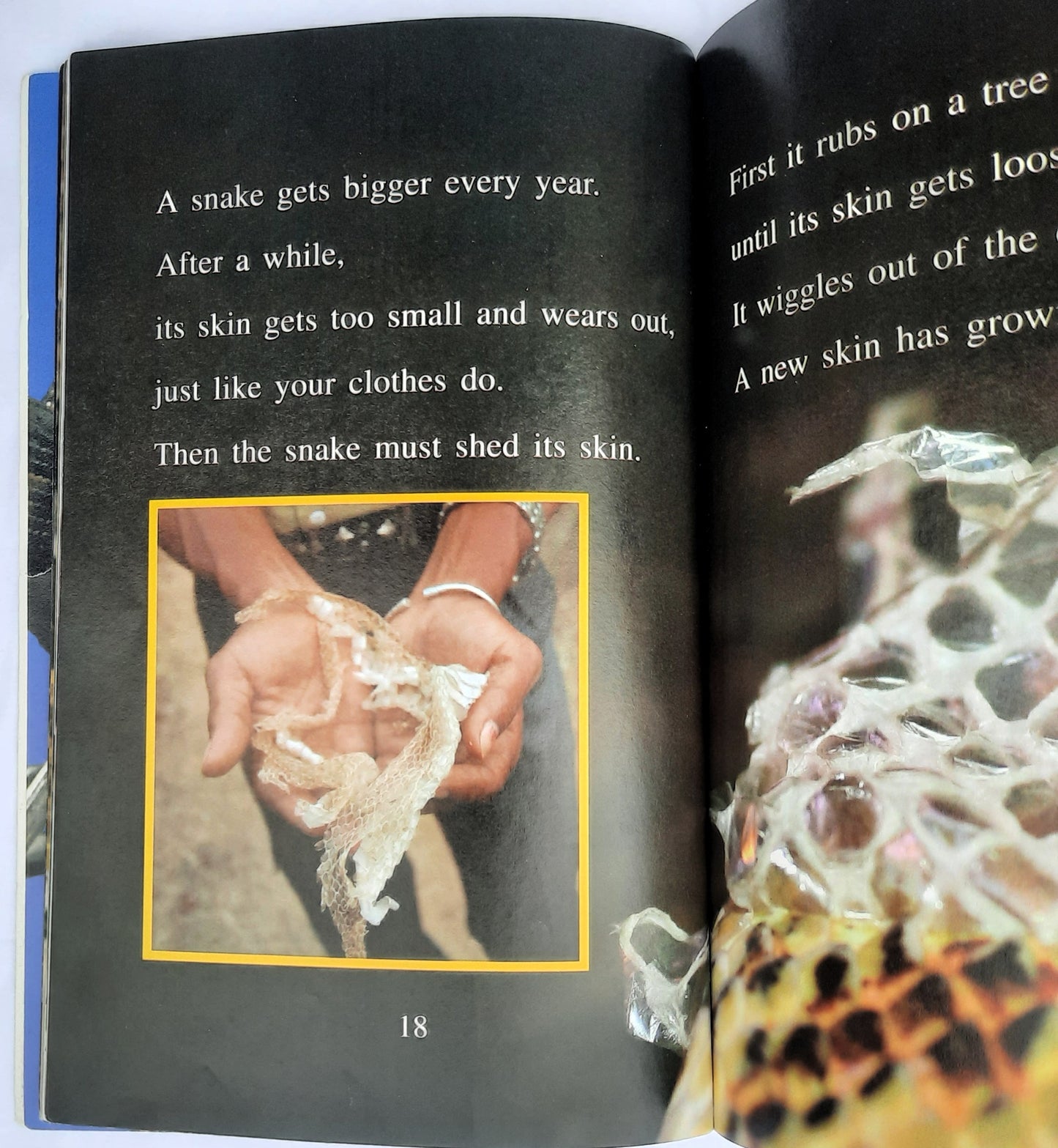 Wildlife Conservation Society: Amazing Snakes! by Sarah L. Thomson (Very good, 2007, Pbk, 32 pages, HarperCollins)