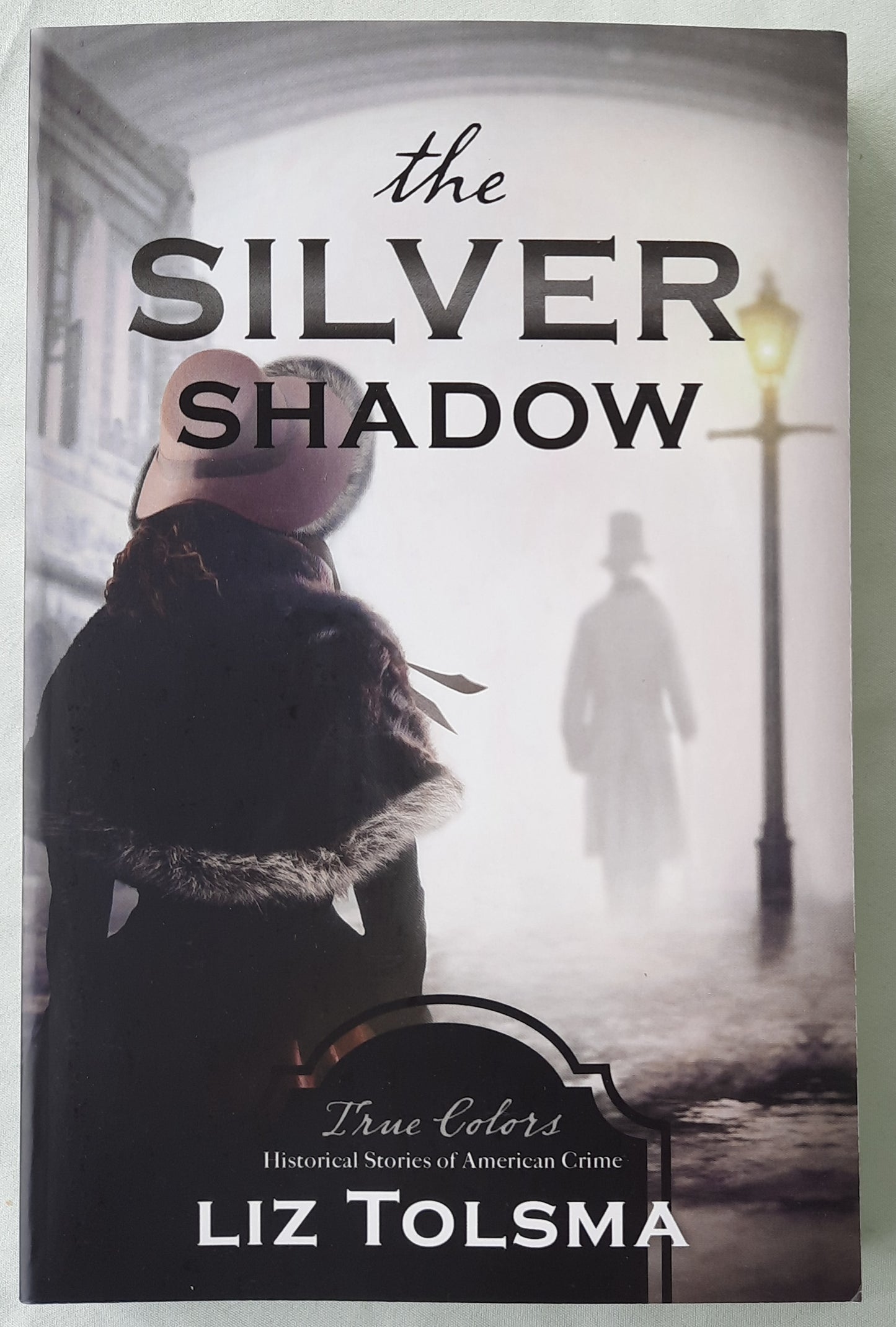 The Silver Shadow by Liz Tolsma (True Colors, New, 2021, Pbk, 254 pages, Barbour)