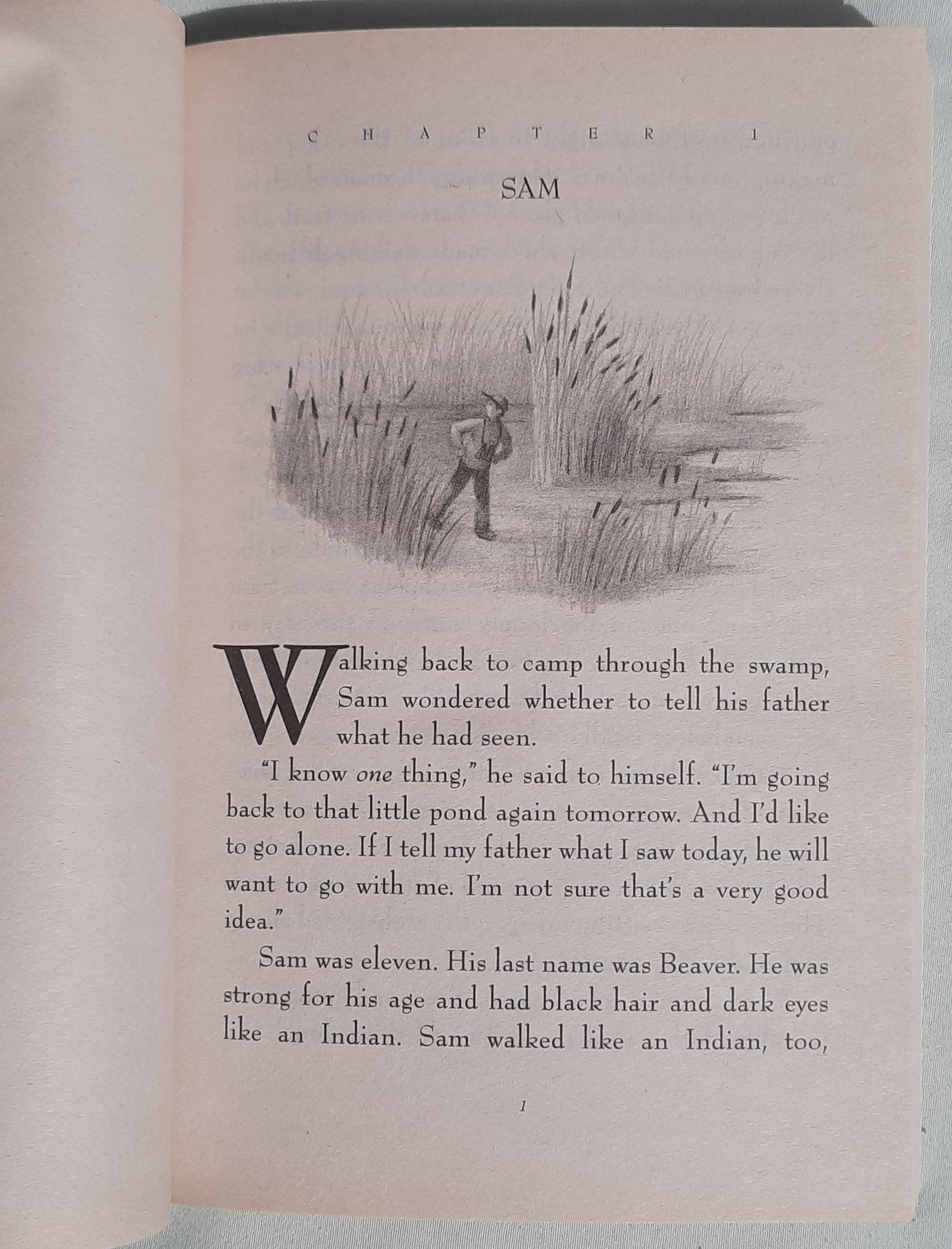 The Trumpet of the Swan by E. B. White (Like new, 2000, Pbk, 252 pages, HarperTrophy)