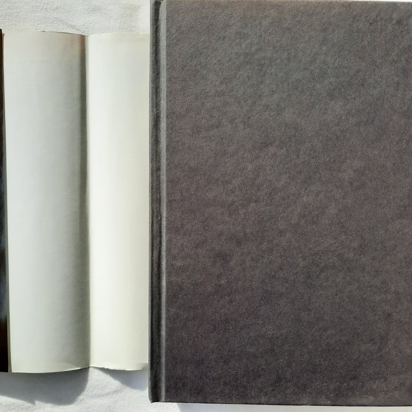 Flora Fyrdraaca: Flora Sedunga & Flora's Dare by Ysabeau S. Wilce (Very Good, 2009, HC, 691 pages, Science Fiction Book Club)