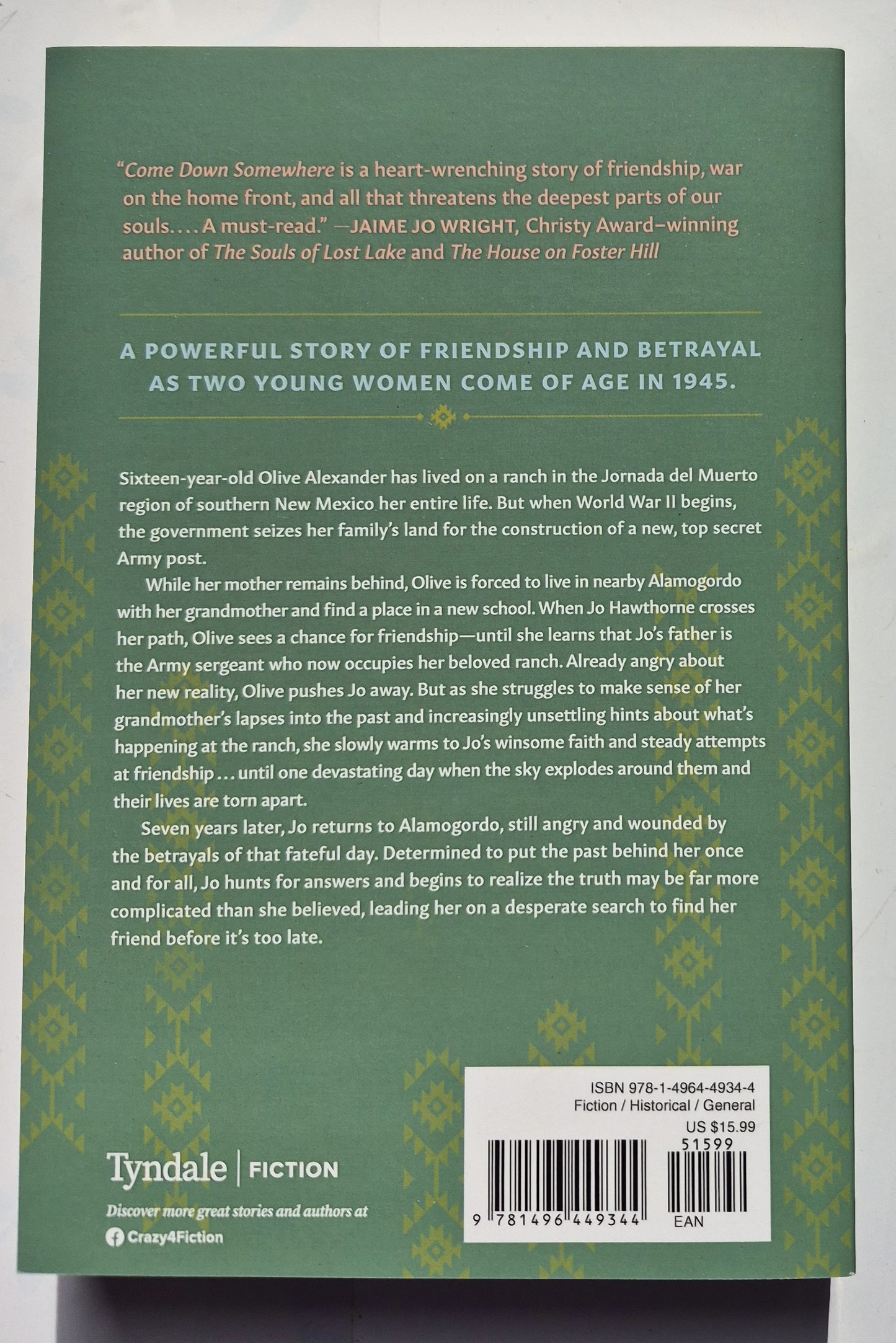 Come Down Somewhere by Jennifer L. Wright (New, 2022, Pbk, 399 pages, Tyndale House)