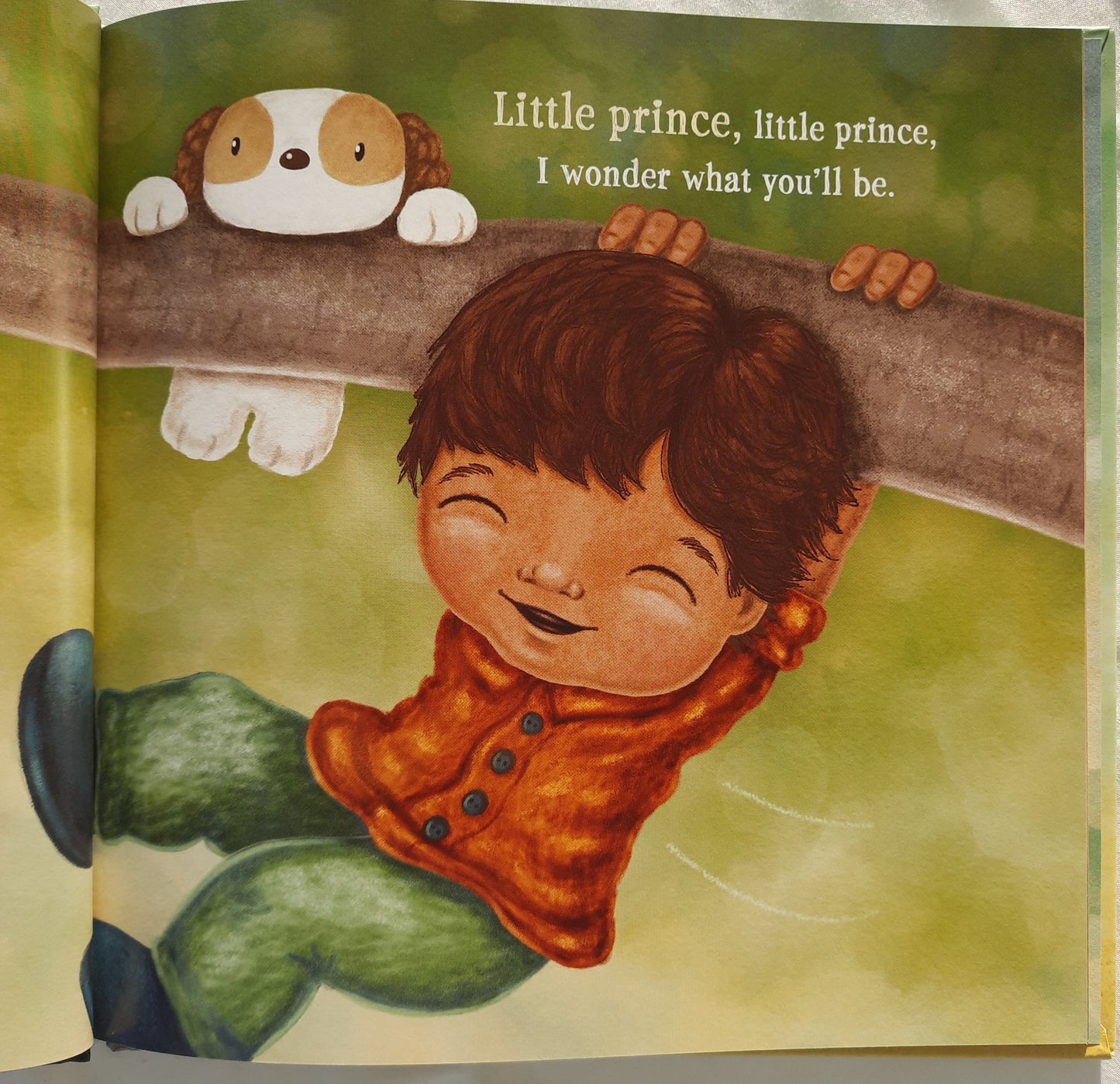 Little Prince, Little Prince, What Will You Be? by Naomi Zacharias (New, 2020, HC, 32 pages, Harvest House)