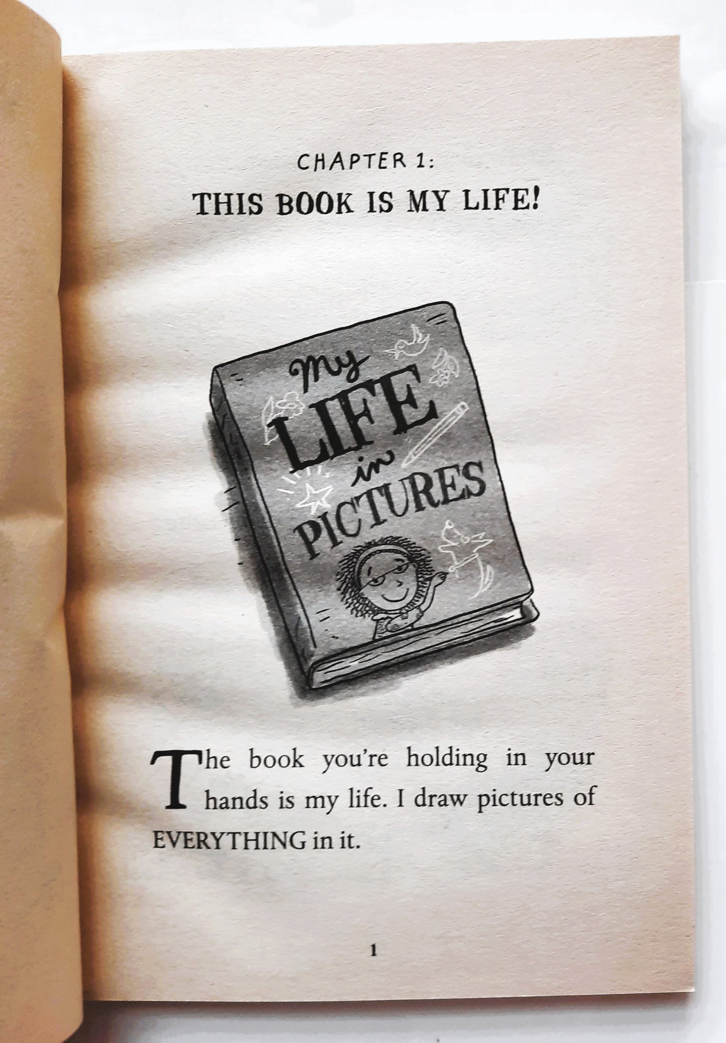 Bea Garcia: My Life in Pictures by Deborah Zemke (New, 2017, Pbk, 144 pages, Scholastic)