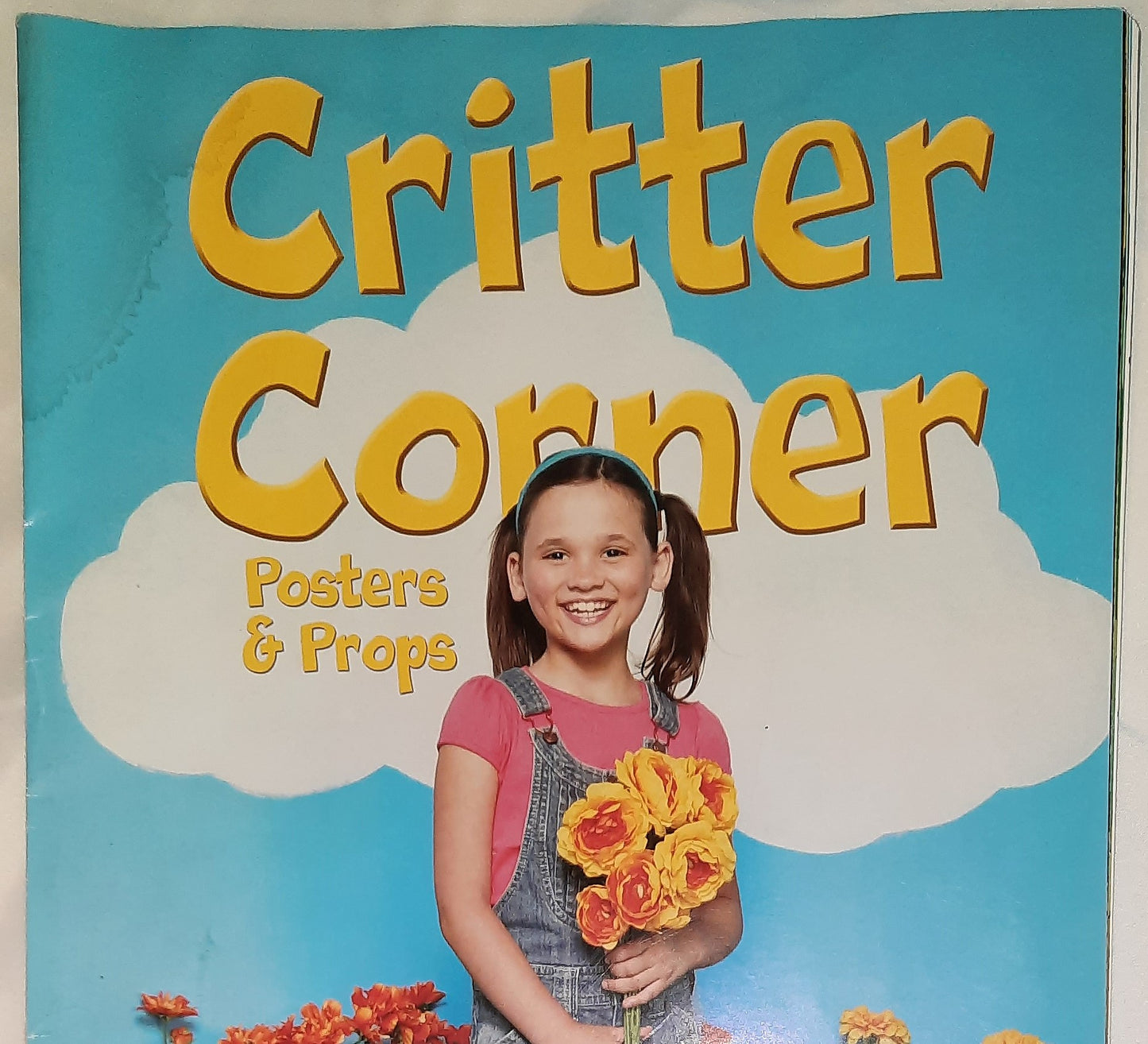 Gospel Light SonRock Kids' Camp Critter Corner Posters & Props VBS (New, Pbk)