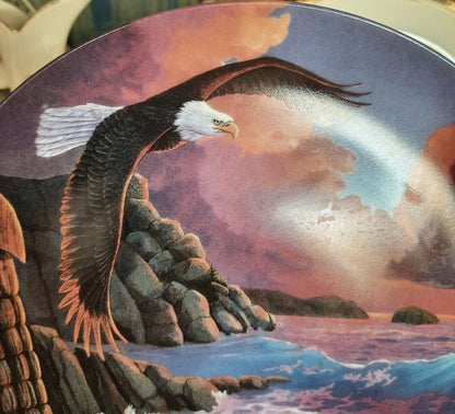 Calling the Storm Plate 2890A by Lane Kendrick Crestley Collection - Collectible in very good condition