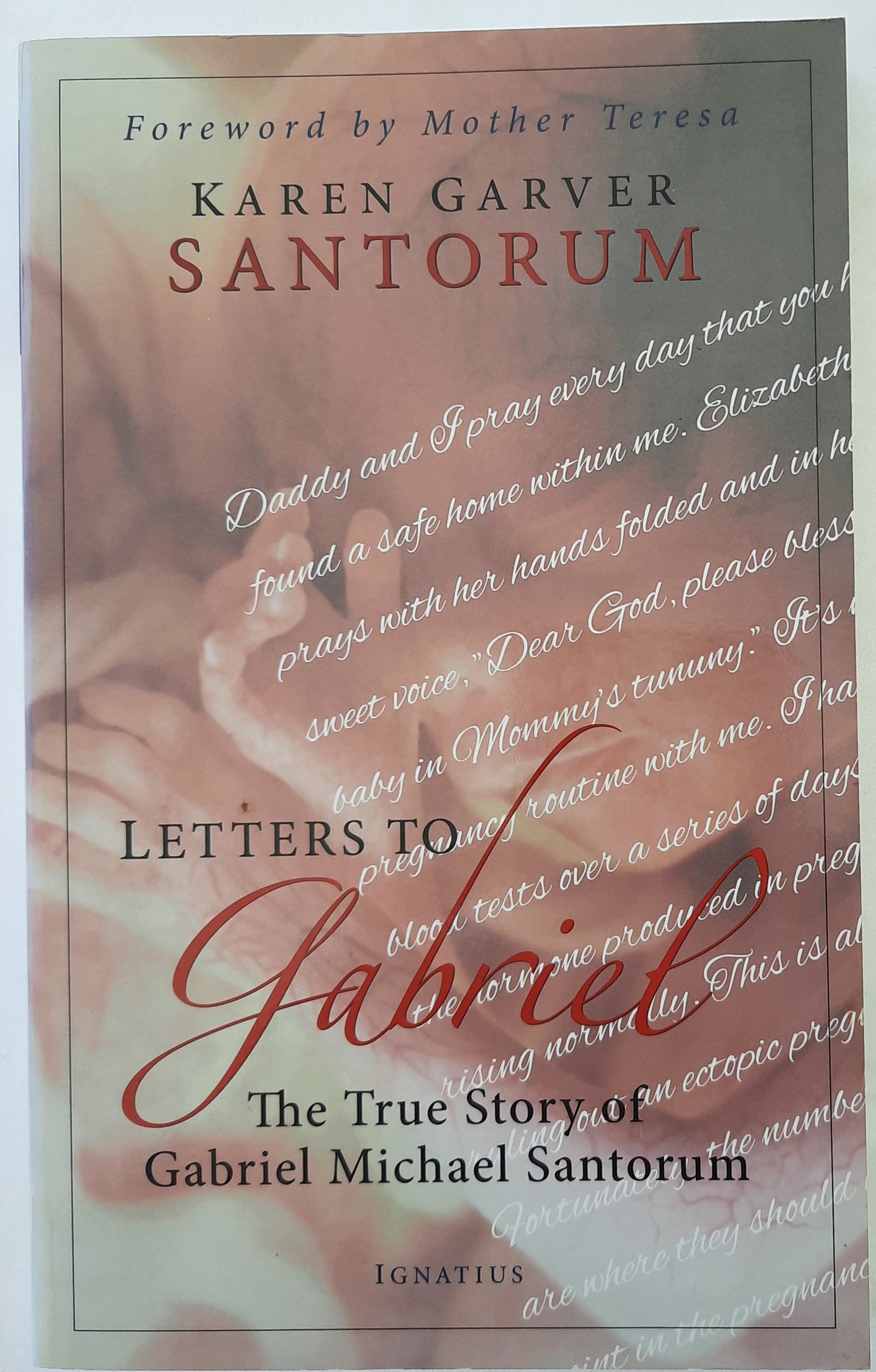 Letters to Gabriel: The True Story of Gabriel Michael Santorum by Karen Santorum (Very good, Pbk, 2012, Ignatious Press, 132 pgs)