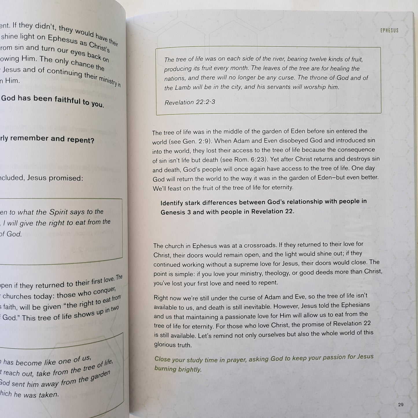 To the One Who Conquers: Freedom from Sin Through the Revelation of Christ by D.A. Horton (New, 2017, Pbk, 127 pgs, Lifeway)