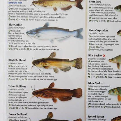 Freshwater Fishes of Missouri: A Guide to Game Fishes by Craig Springer (Like new, 2019, Waterproof)