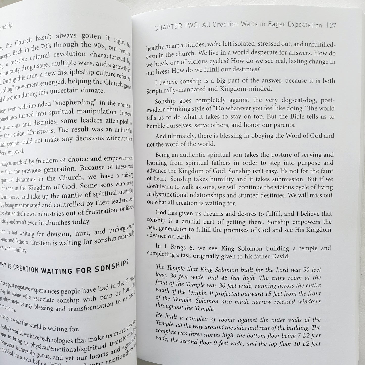 The Art of Sonship: King David had 20 Sons. Only One Reigned. Which Son Will You Be? by Israel David Campbell (New, 2018, Pbk, 158 pgs, NEWTYPE)