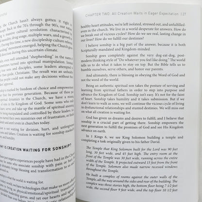 The Art of Sonship: King David had 20 Sons. Only One Reigned. Which Son Will You Be? by Israel David Campbell (New, 2018, Pbk, 158 pgs, NEWTYPE)