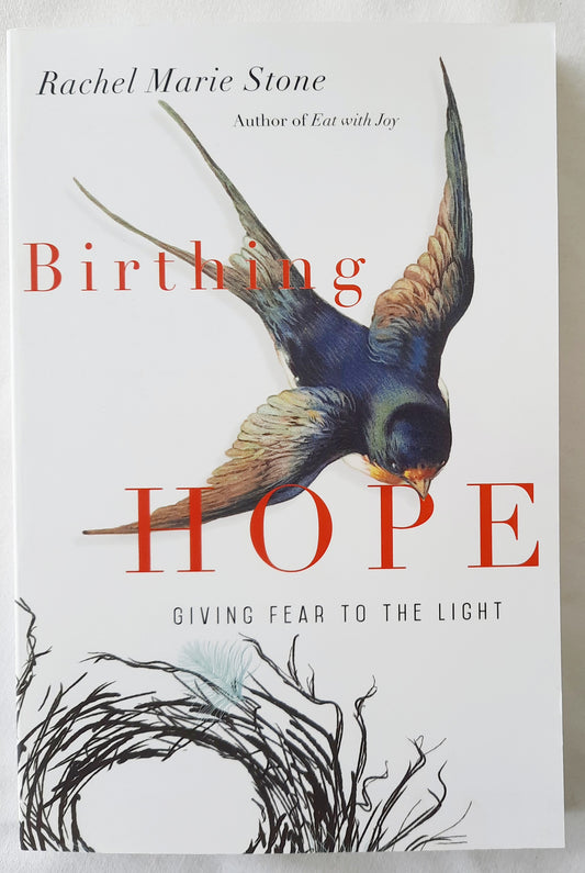 Birthing Hope: Giving Fear to the Light by Rachel Marie Stone (New, 2018, Pbk, 210 pages, IVP Books)