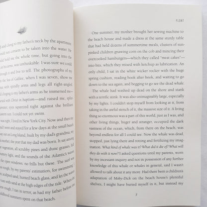 Birthing Hope: Giving Fear to the Light by Rachel Marie Stone (New, 2018, Pbk, 210 pgs, IVP Books)