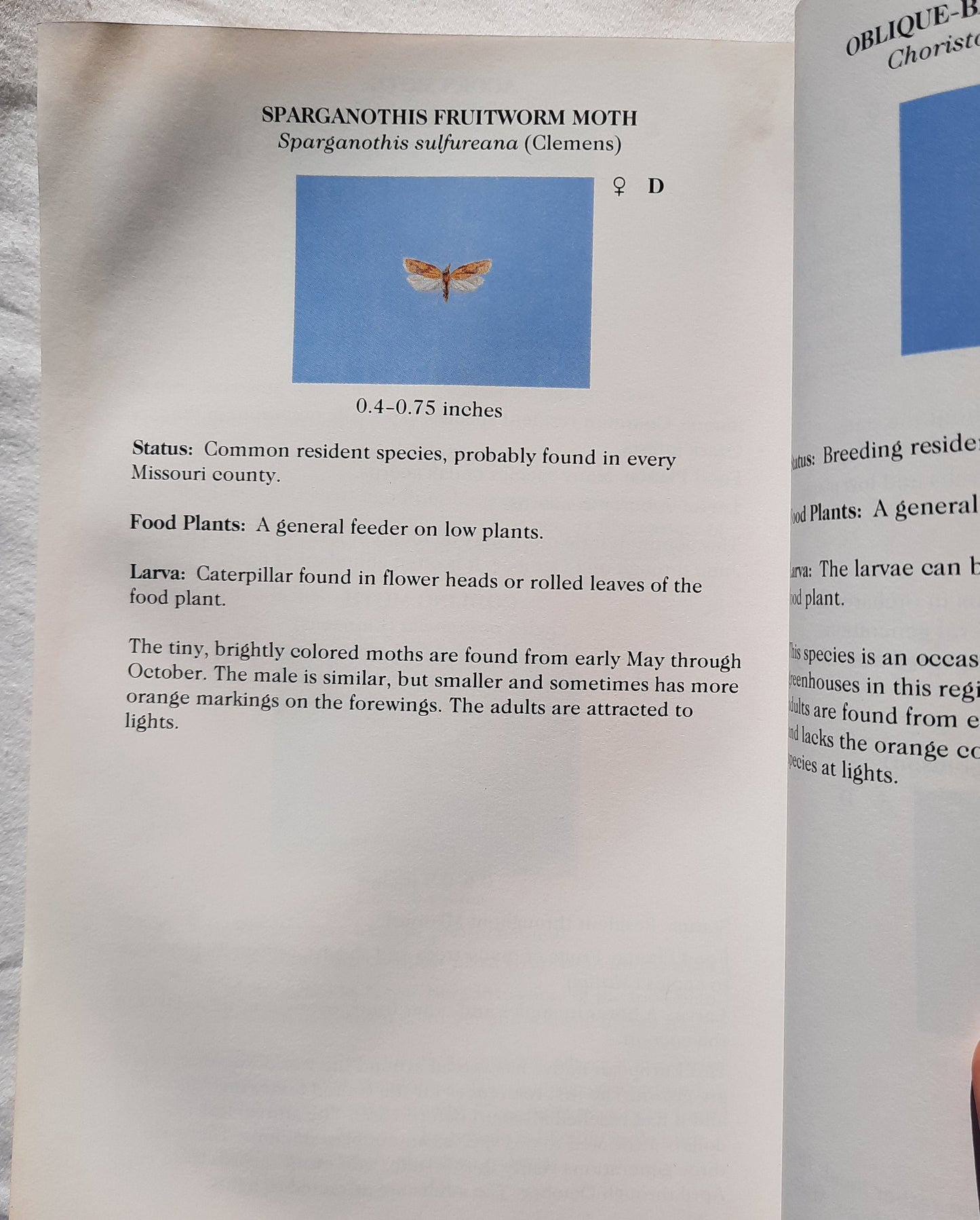 Butterflies and Moths of Missouri by J. Richard; Joan E. Heitzman (Good, 1996, Pbk, 385 pgs, MDC)