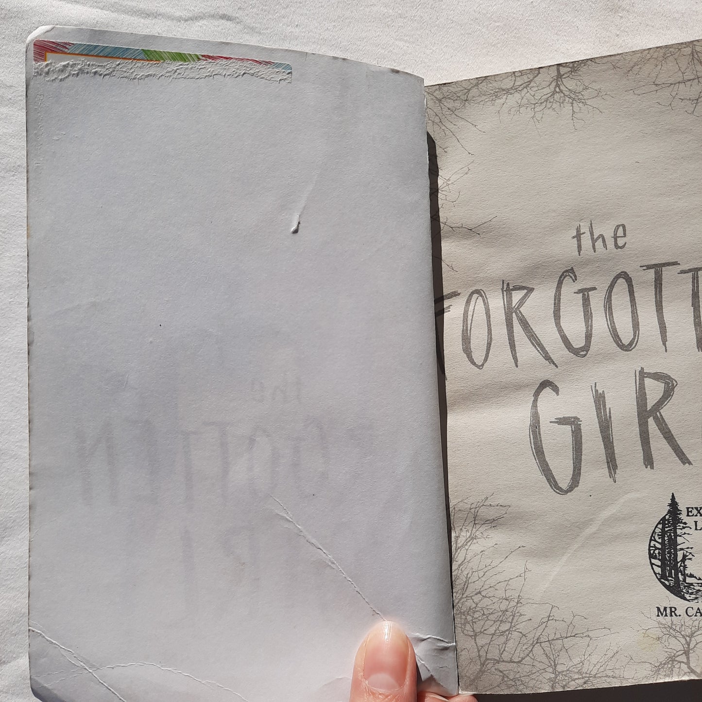 The Forgotten Girl by India Hill Brown (Good, 2019, Pbk, 250 pgs, Scholastic)