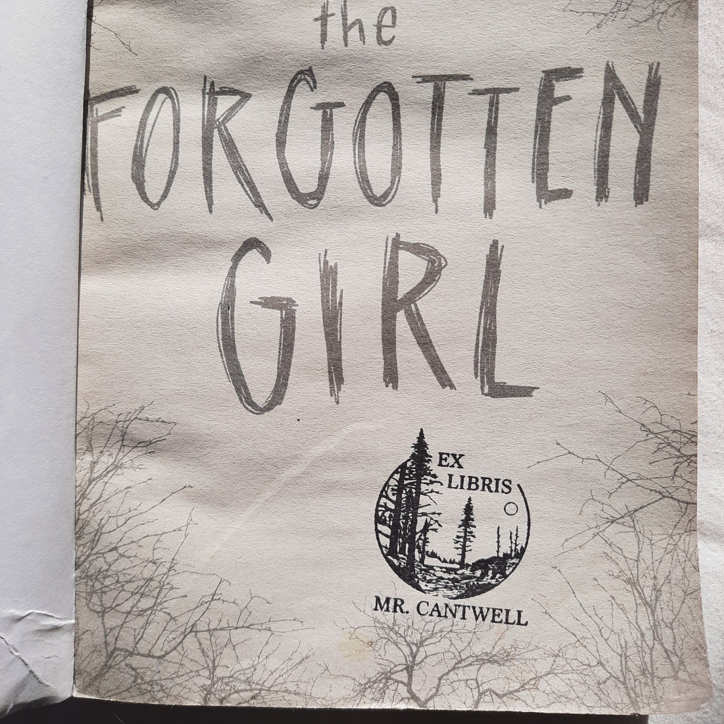 The Forgotten Girl by India Hill Brown (Good, 2019, Pbk, 250 pgs, Scholastic)