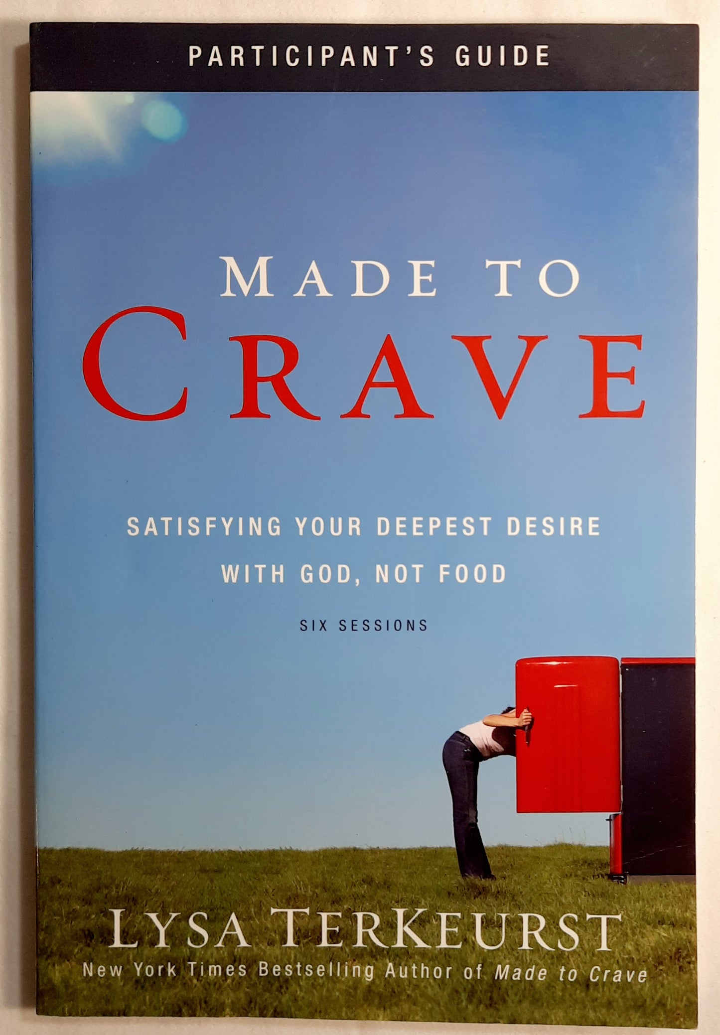 Made to Crave Participant's Guide by Lysa TerKeurst (Very good, 2011, Pbk, 156 pages, Zondervan)