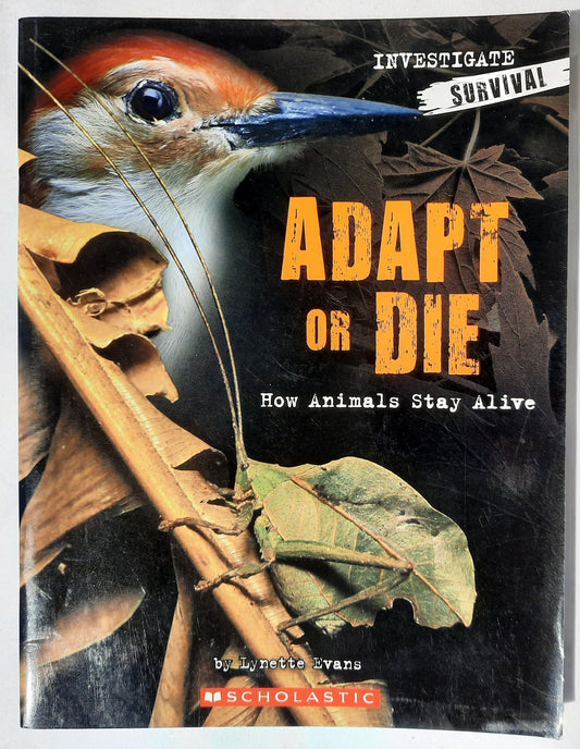 Investigate Survival: Adapt or Die by Lynette Evans (Good, Pbk, 2008, Scholastic, 28 pgs)