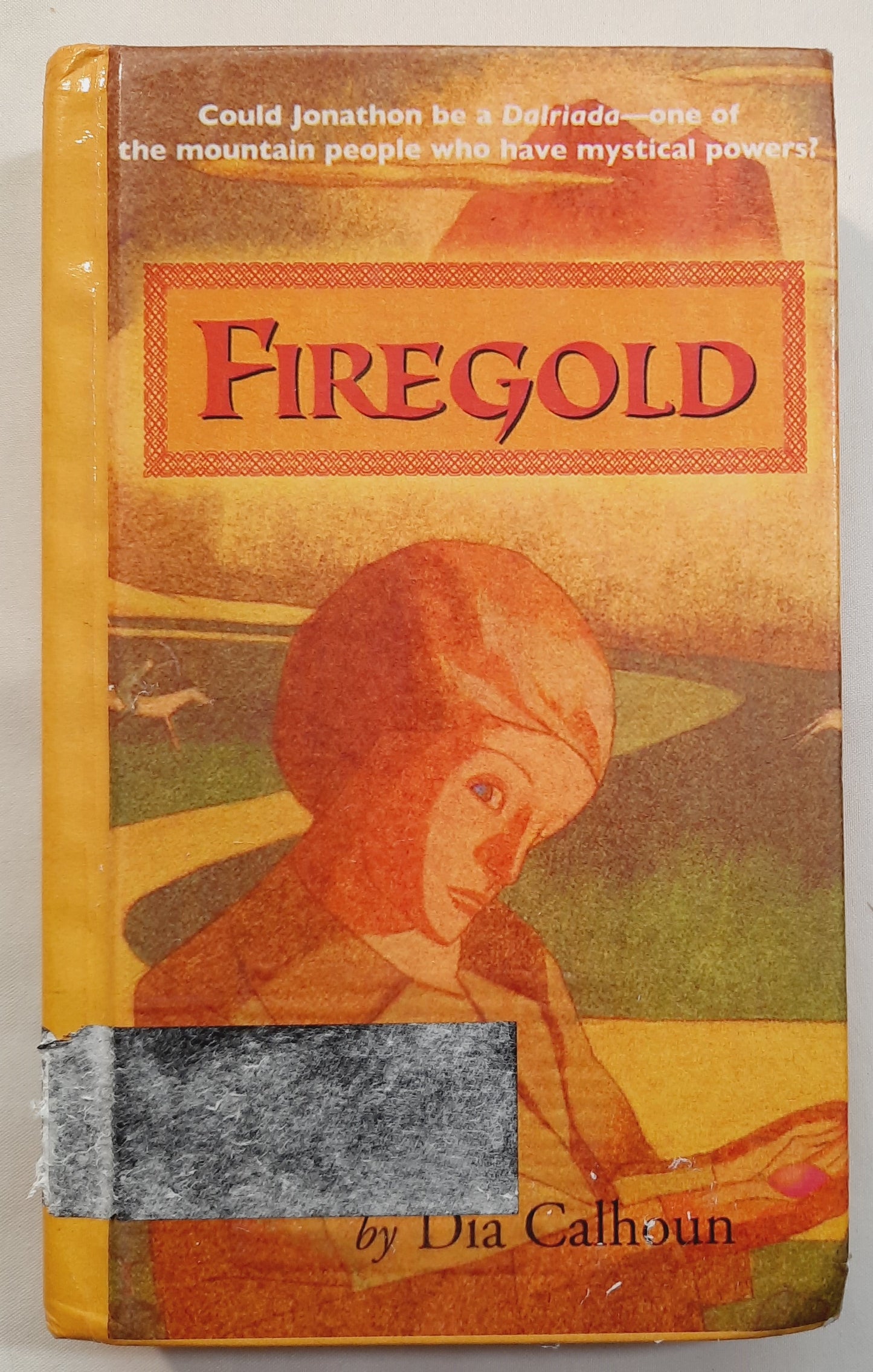 Firegold by Dia Calhoun (Good, 2001, HC, 349 pages, Winslow Press)